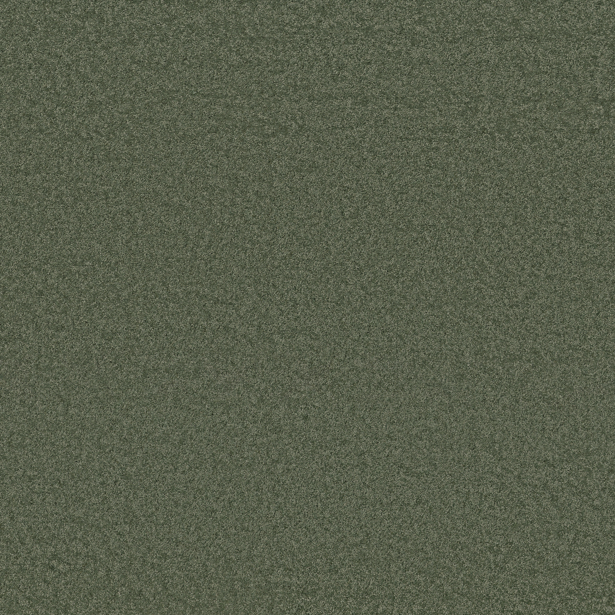 Cheerful-Beryl-ZB267_00348