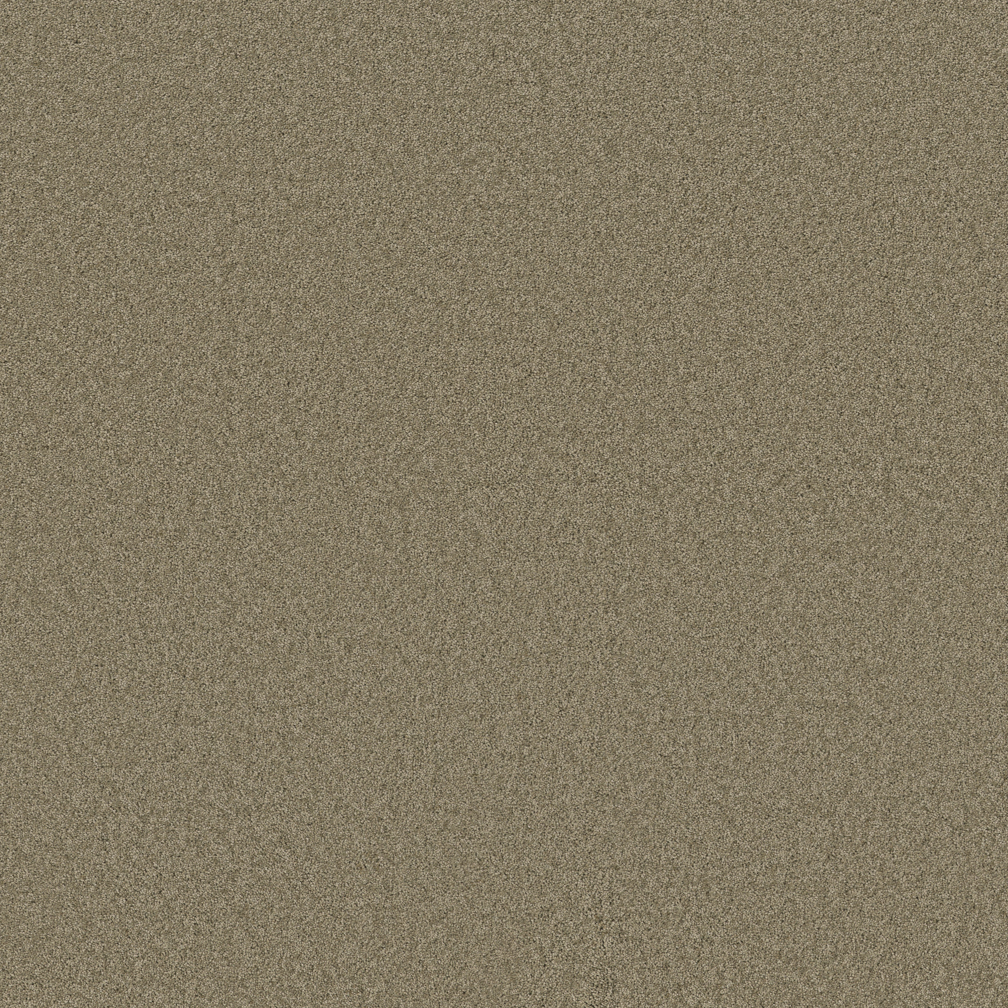 Cheerful-Slate-ZB267_00355