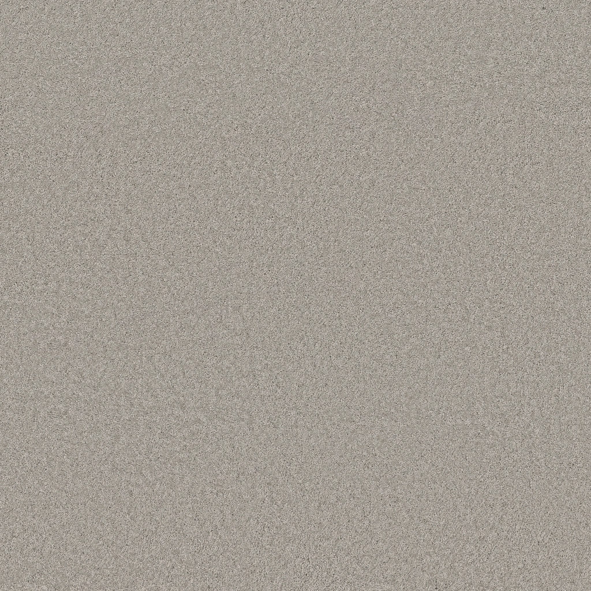 Cheerful-Summer Rain-ZB267_00542