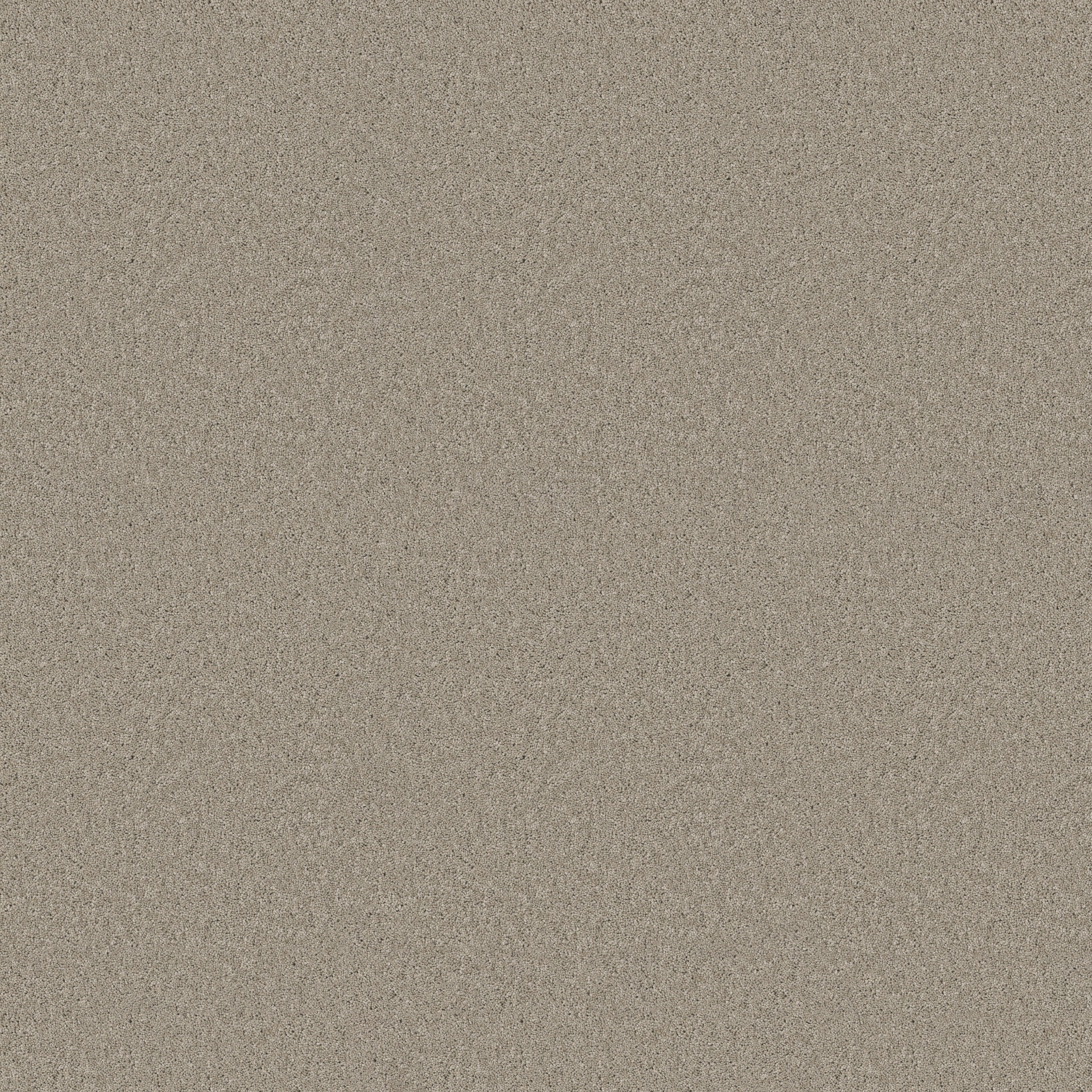 Cheerful-String-ZB267_00552