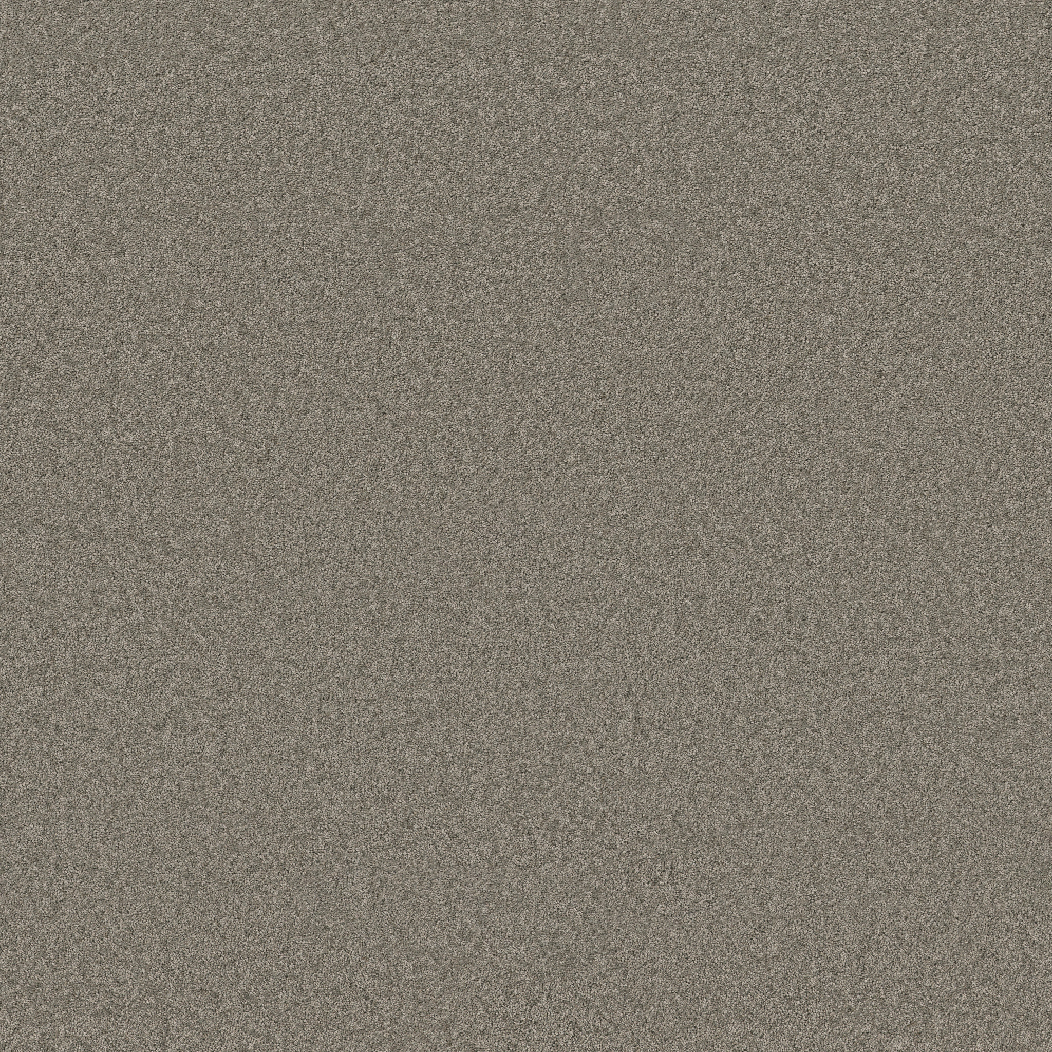 Cheerful-Lunar Rock-ZB267_00555