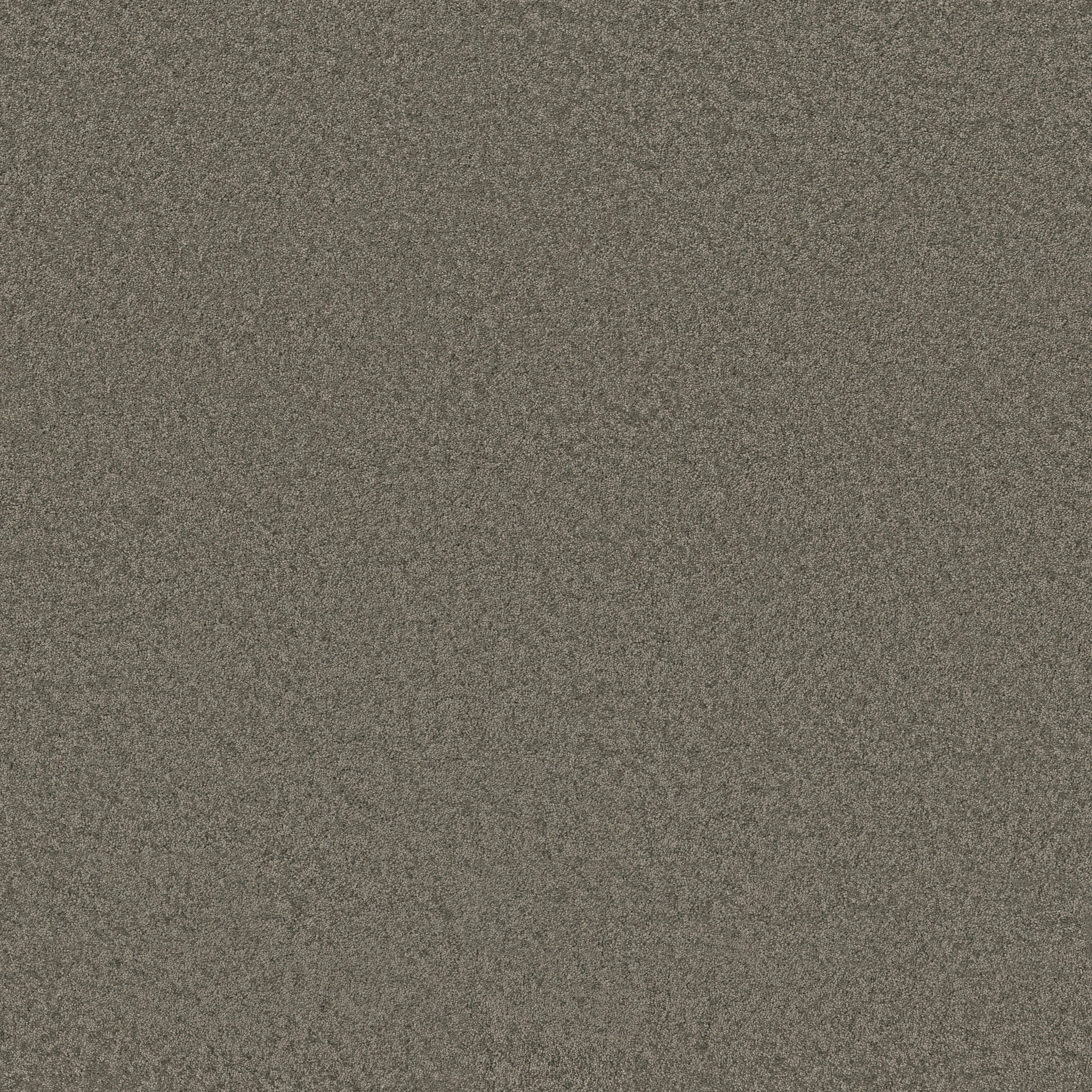 Cheerful-Highrise-ZB267_00558