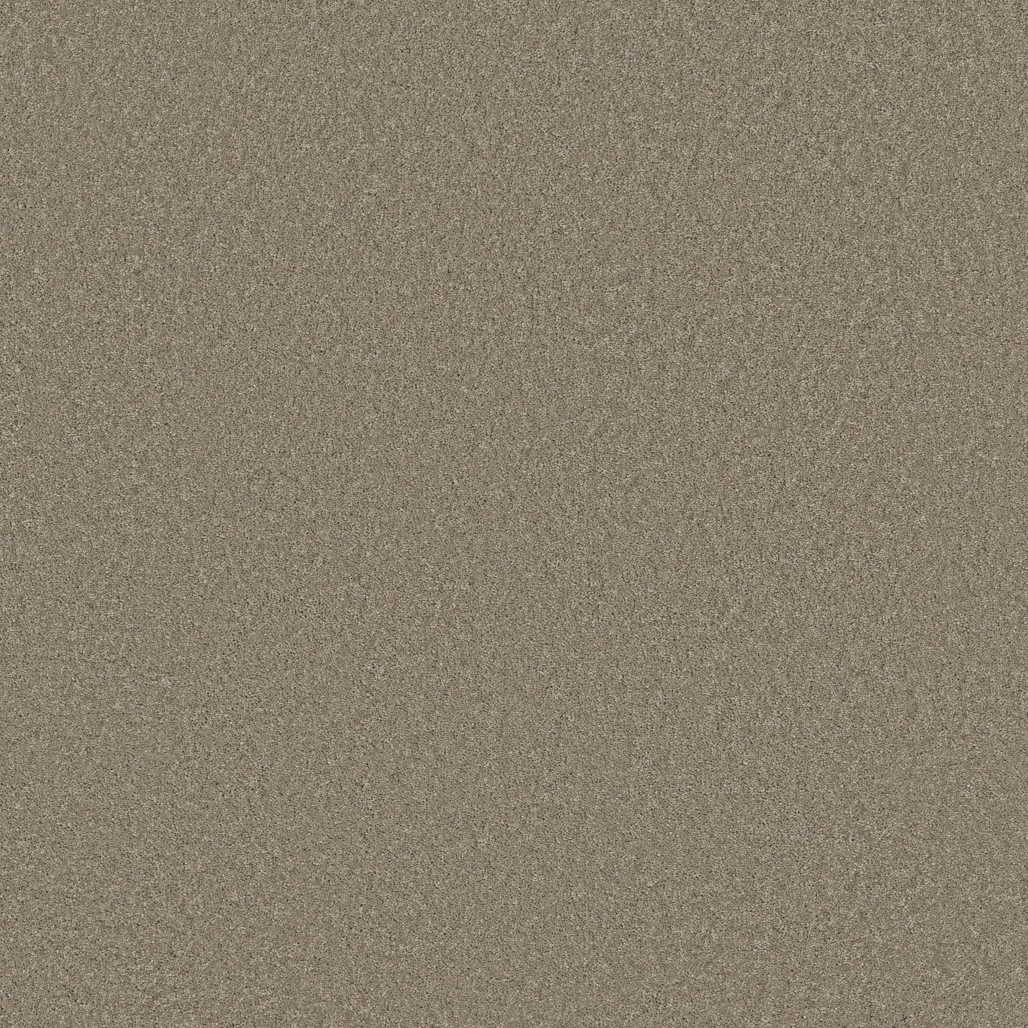 Cheerful-Atmosphere-ZB267_00573