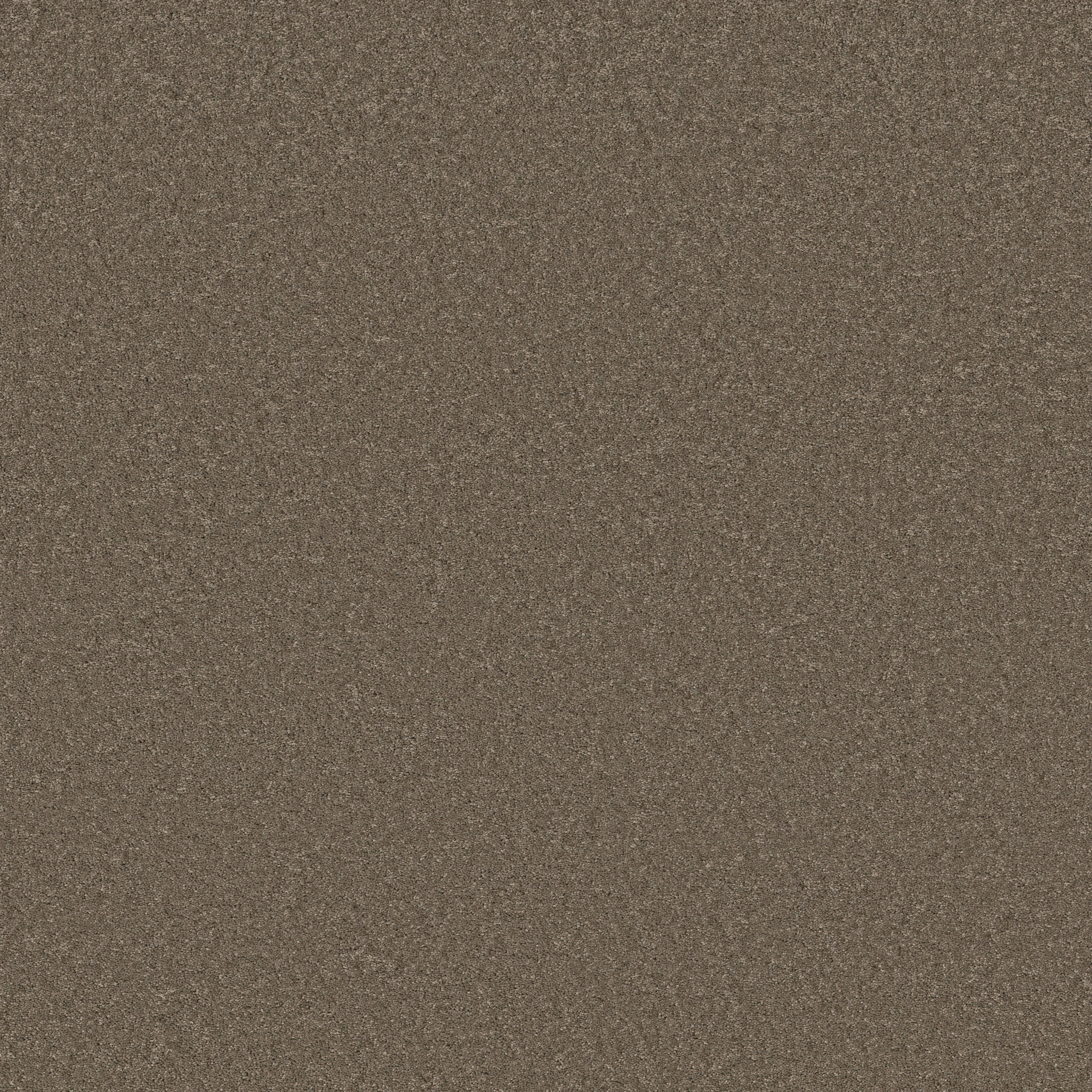 Cheerful-Moonbeam-ZB267_00578