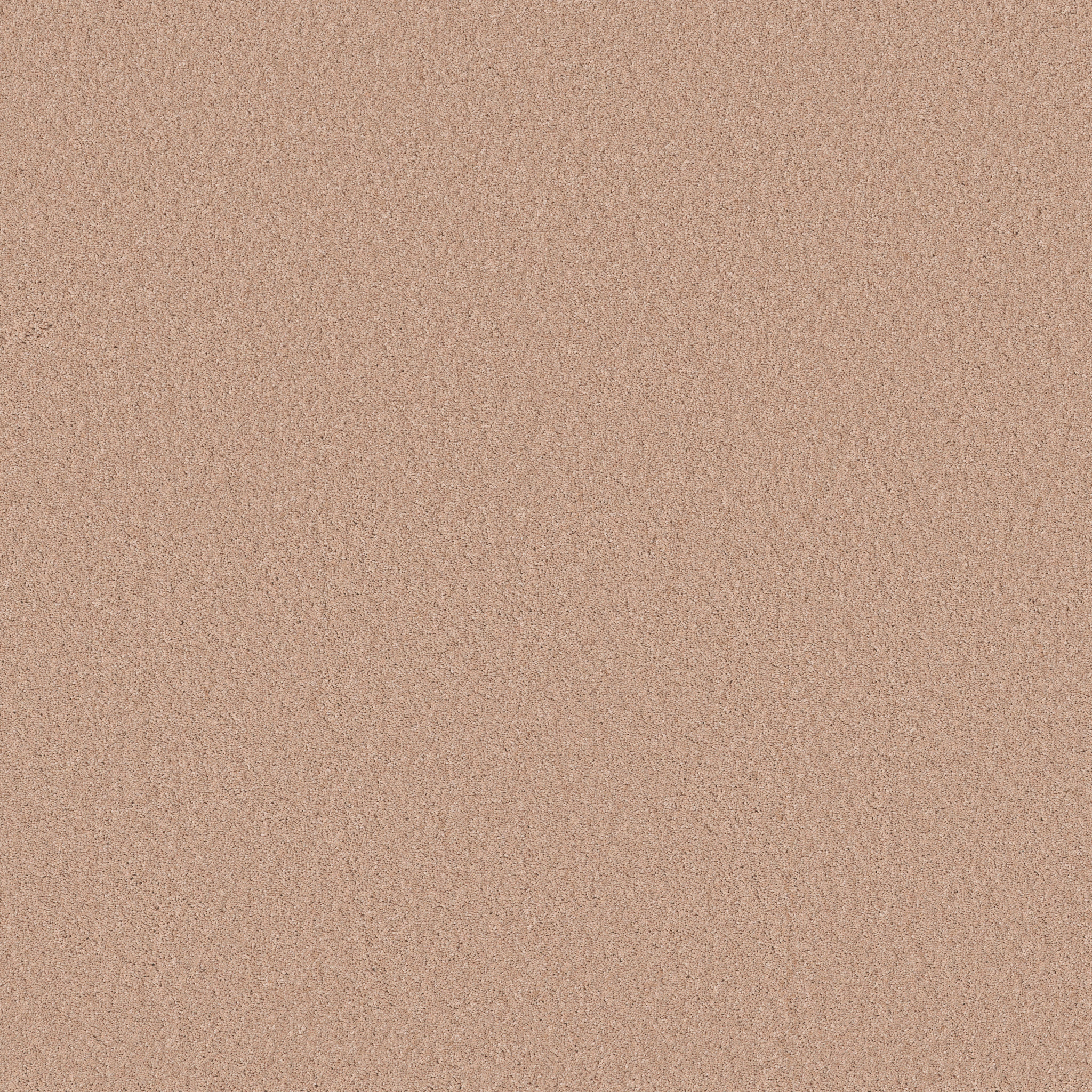 Cheerful-Apricot Ice-ZB267_00623