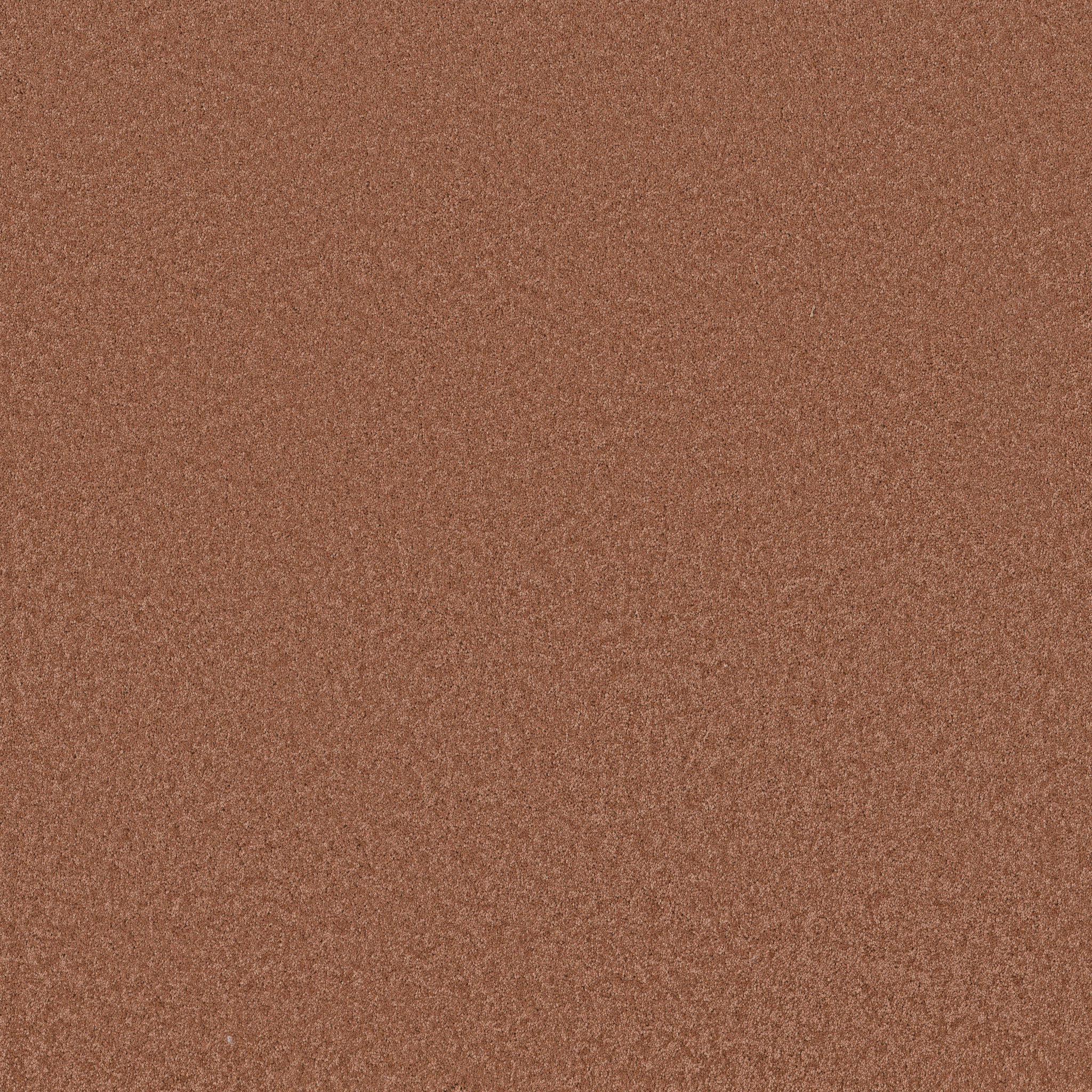 Cheerful - Clay - ZB267_00667