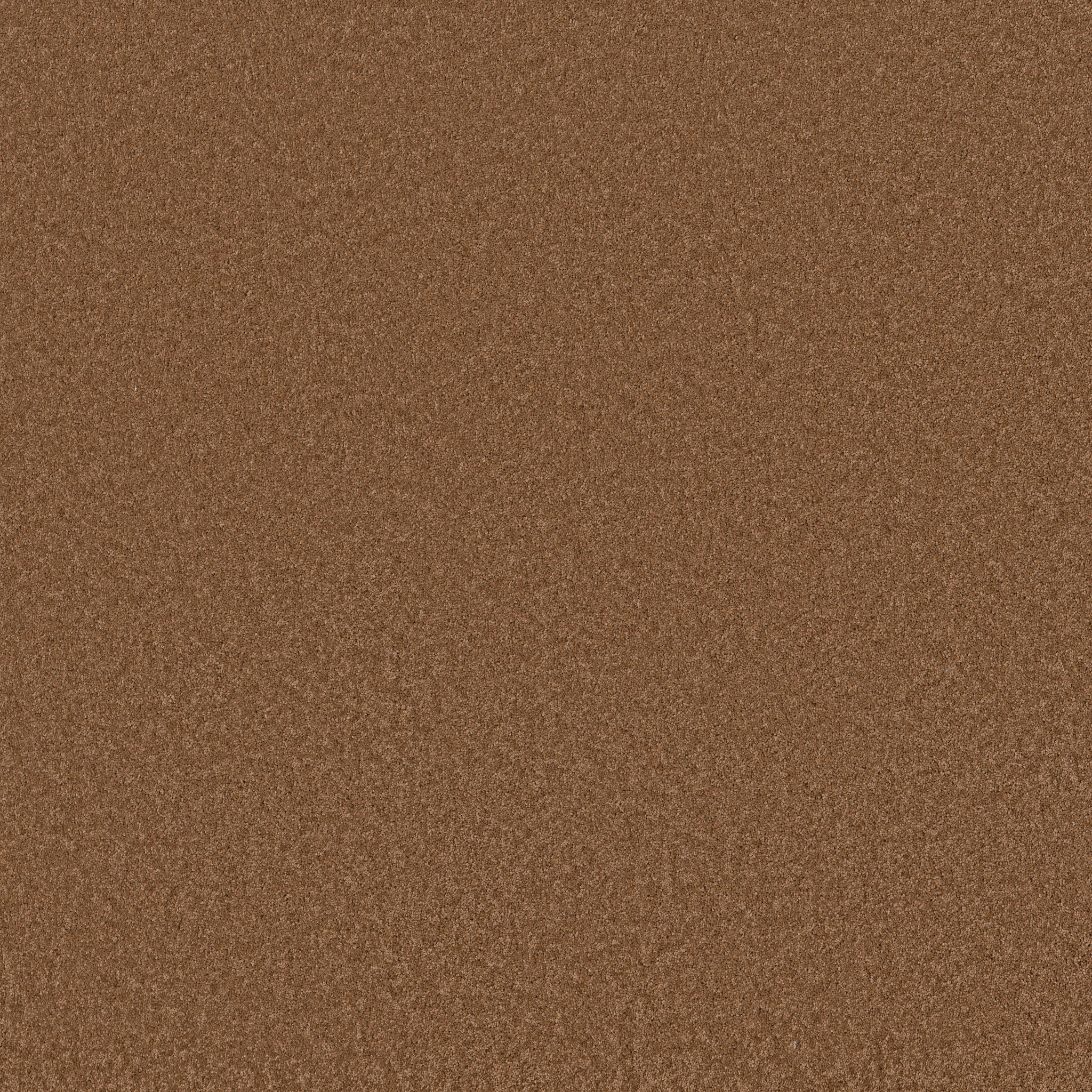 Cheerful - Autumn Glaze - ZB267_00675