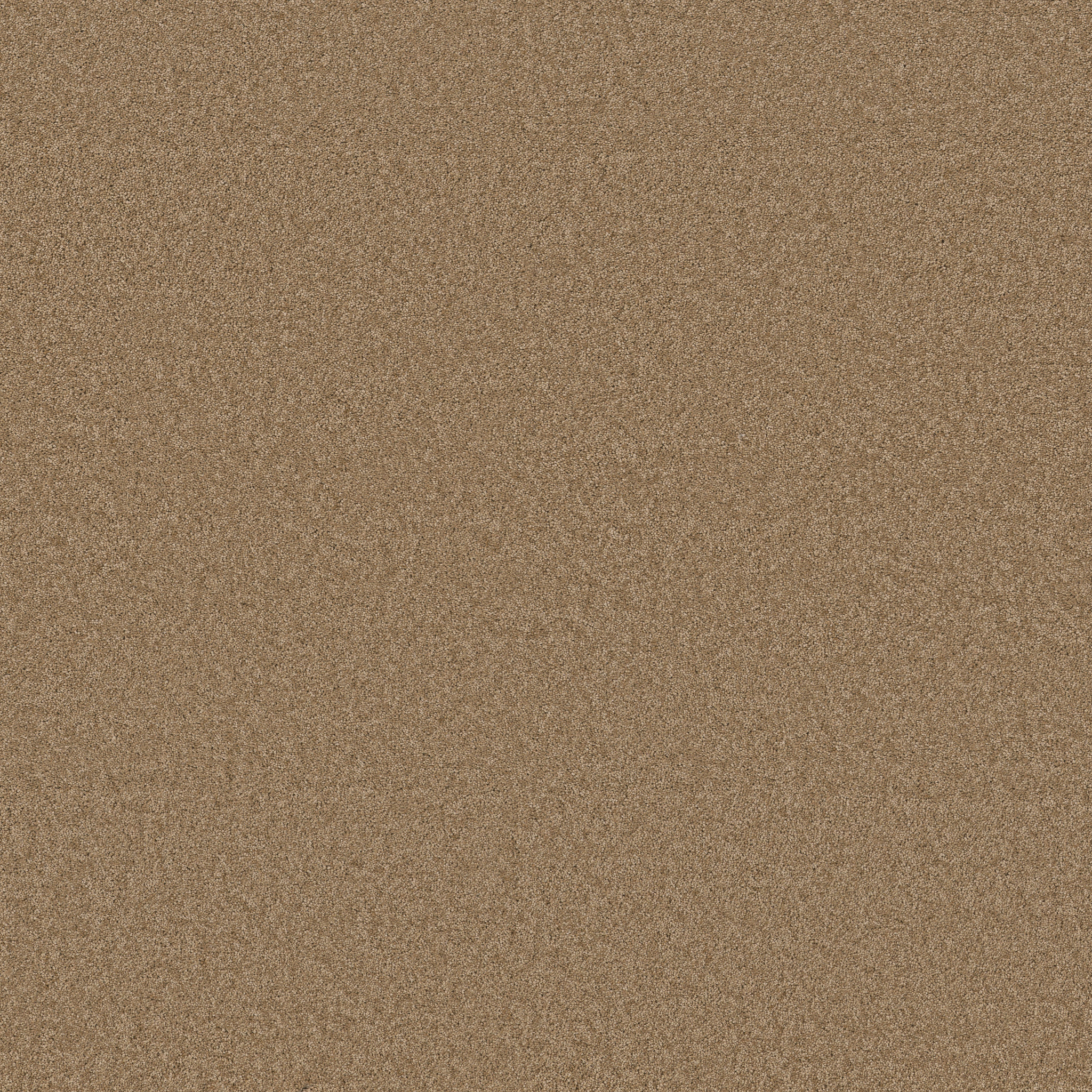 Cheerful - Prairie - ZB267_00727