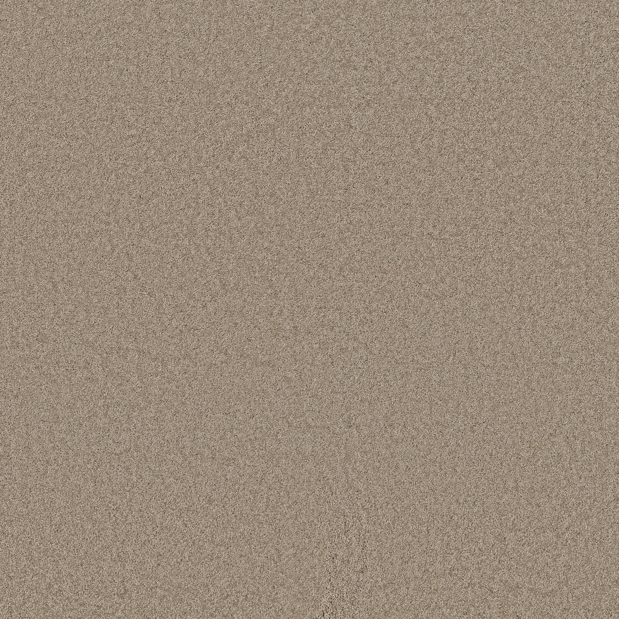 Cheerful-Tuffet-ZB267_00753