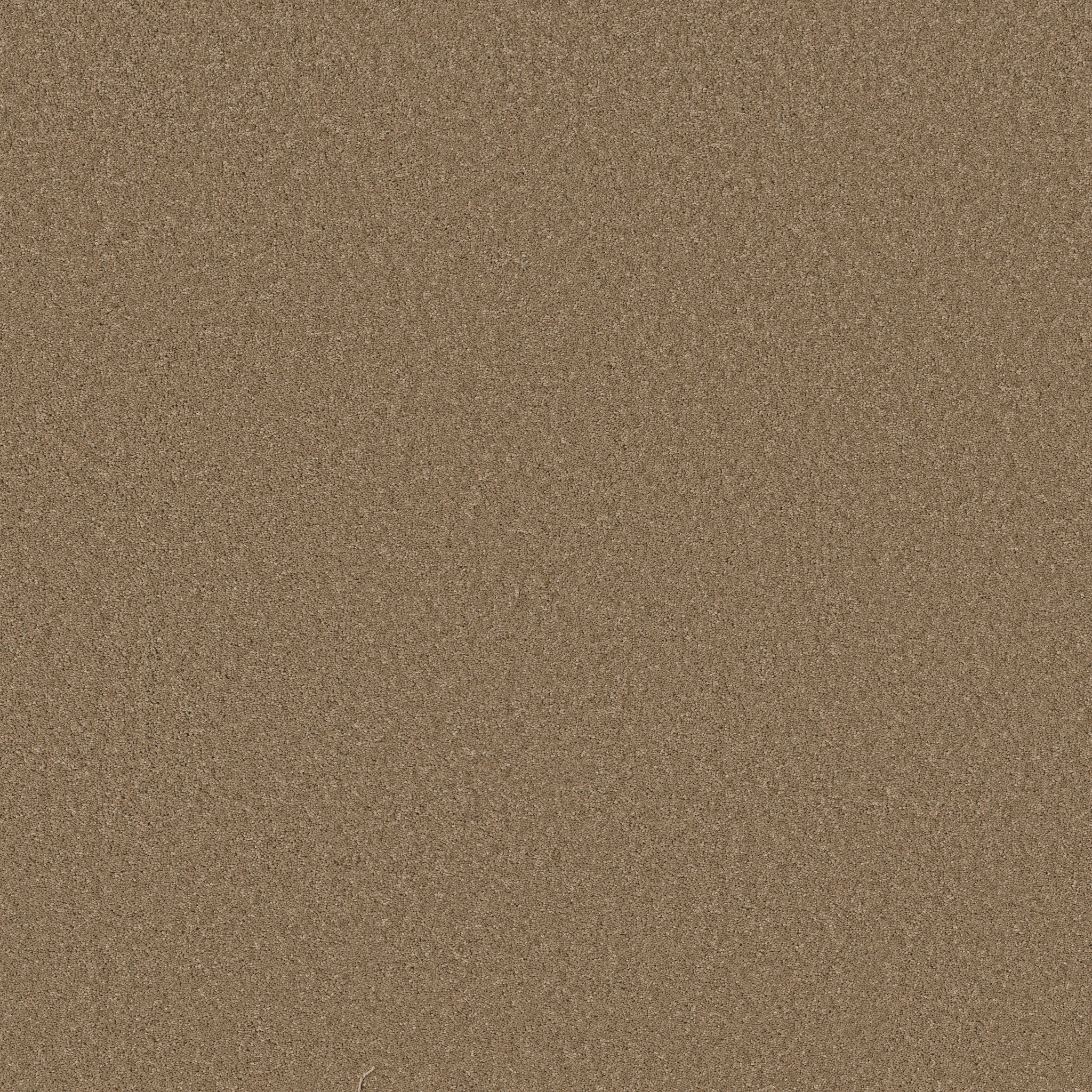 Cheerful-Latte-ZB267_00755