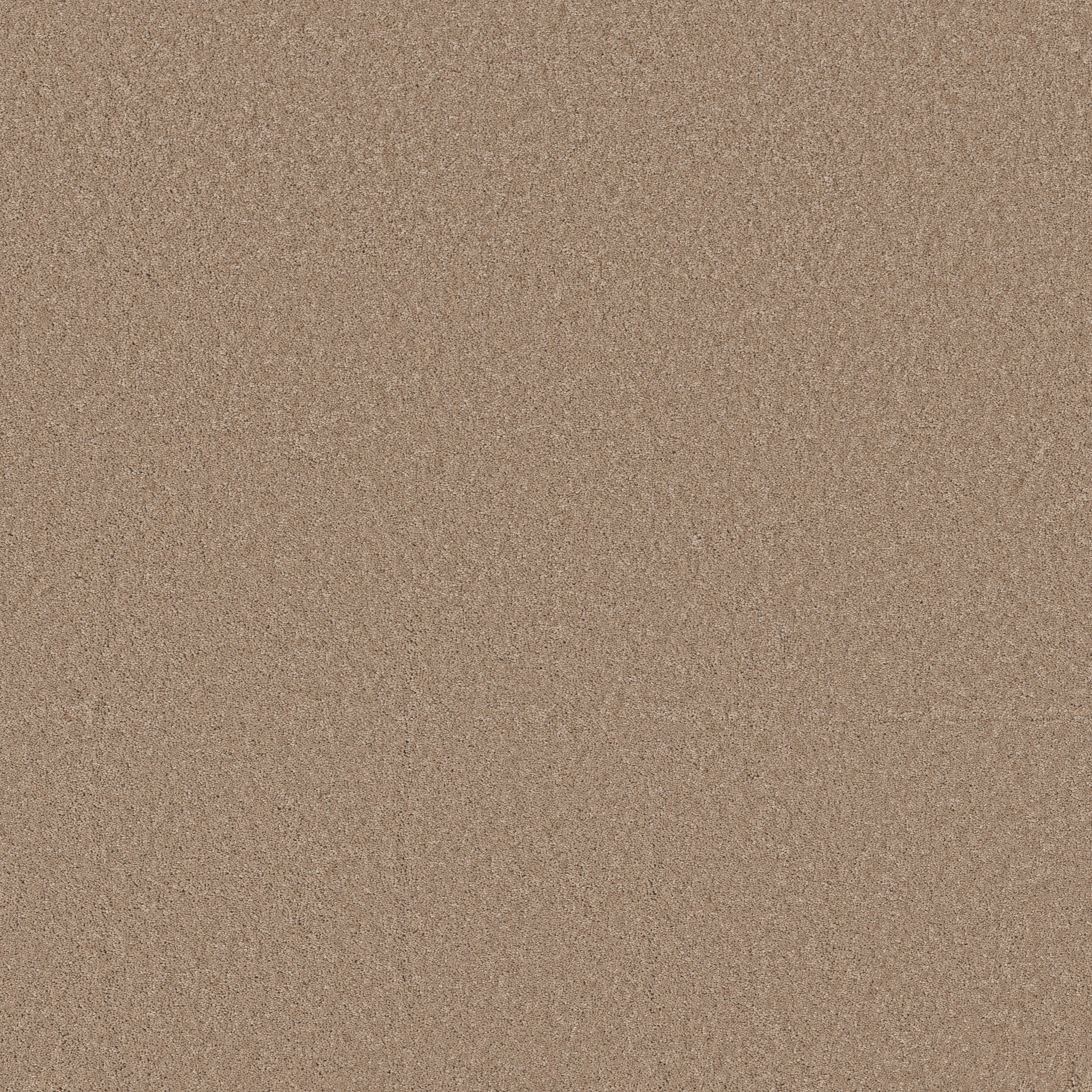 Cheerful-Warm Sand-ZB267_00764