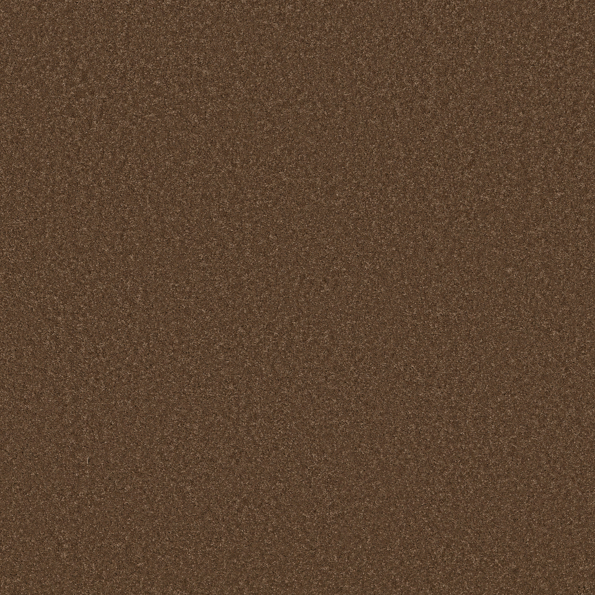 Cheerful - Bronco - ZB267_00768