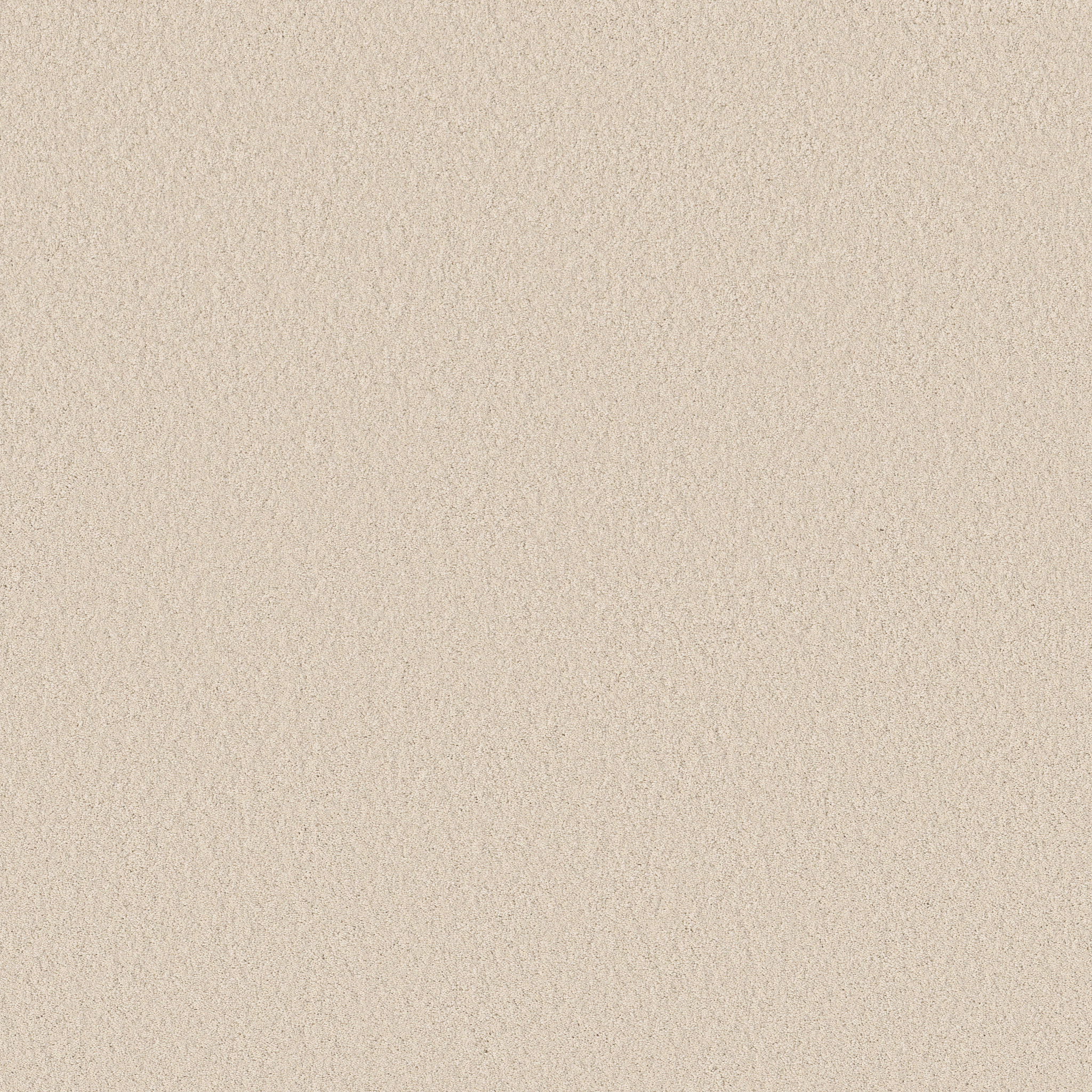 Cherished-Angora-ZB268_00112