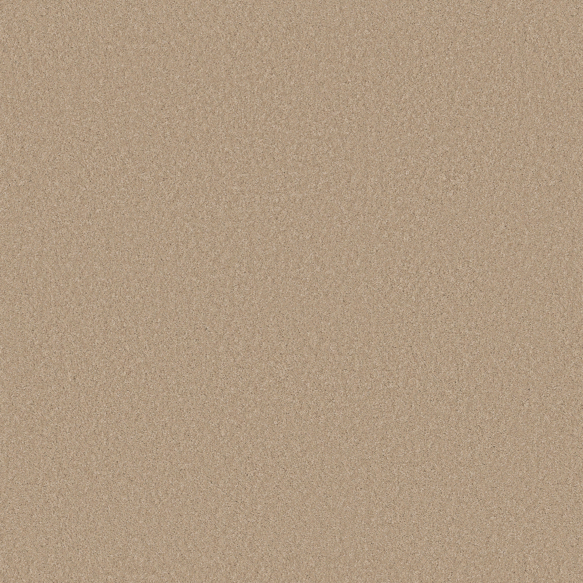 Cherished-Transparent-ZB268_00114