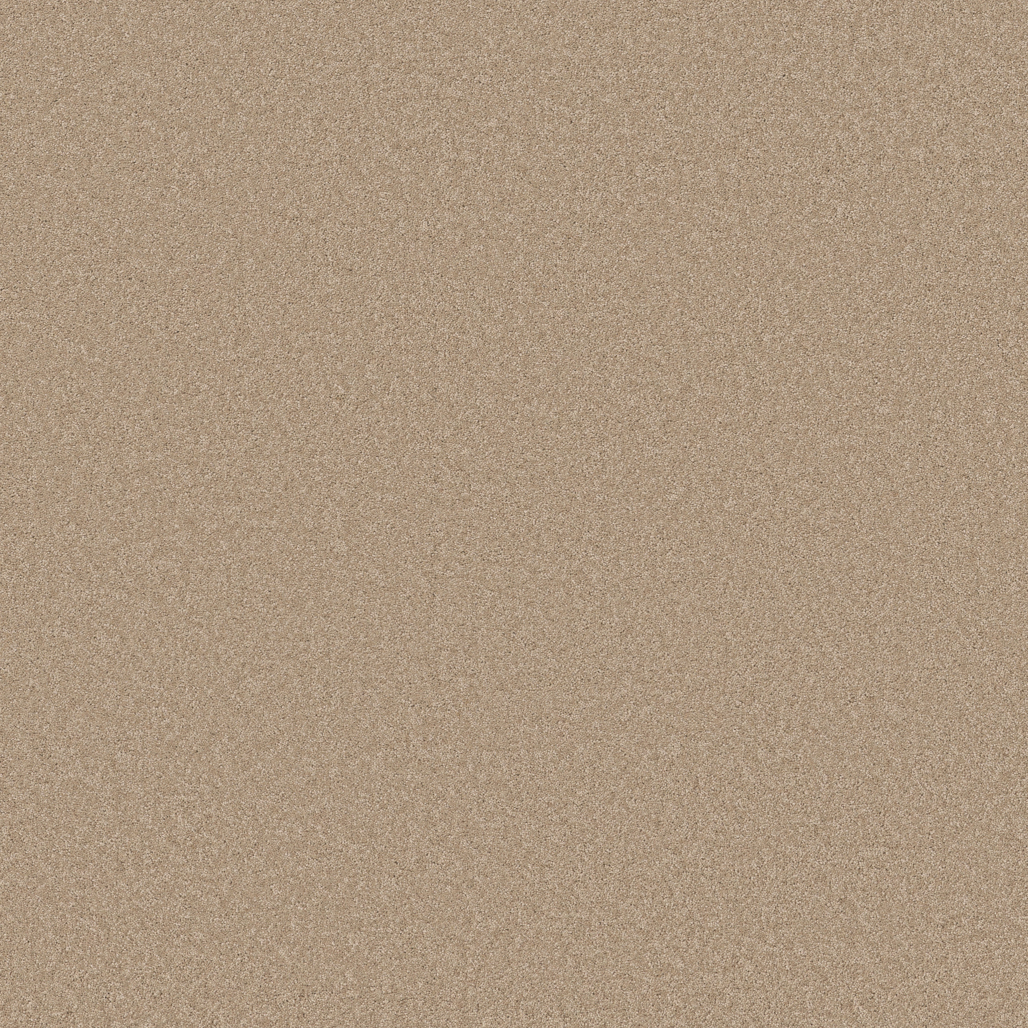 Cherished-Brulee-ZB268_00124