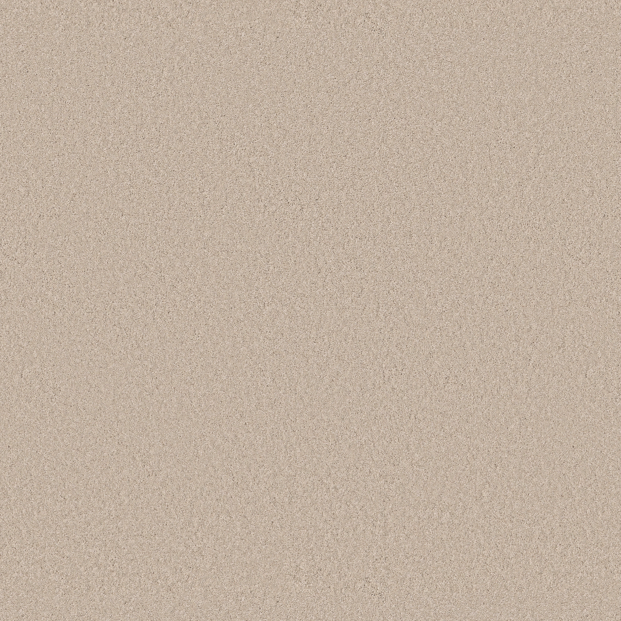 Cherished-Tapioca-ZB268_00162