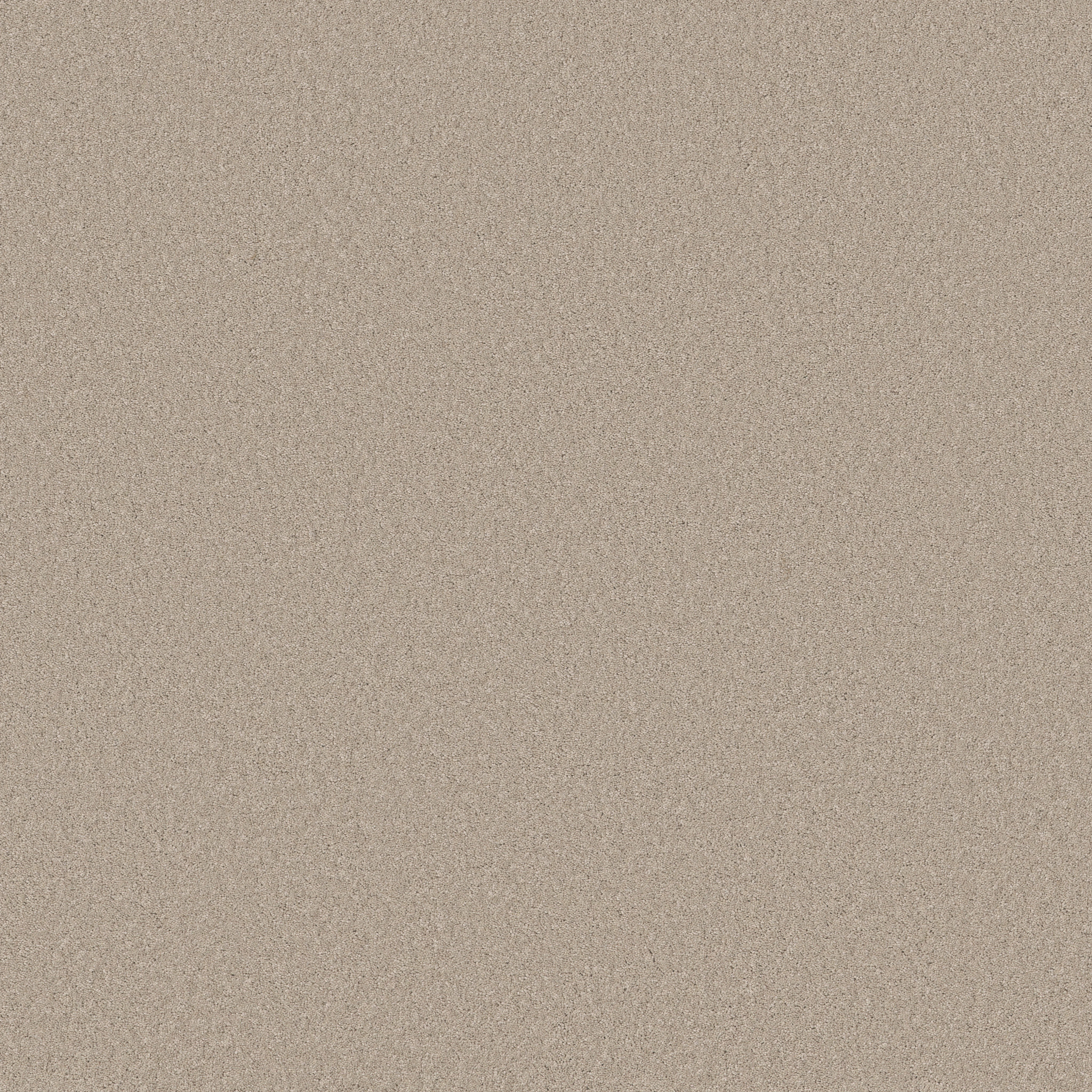 Cherished-Sandshell-ZB268_00172