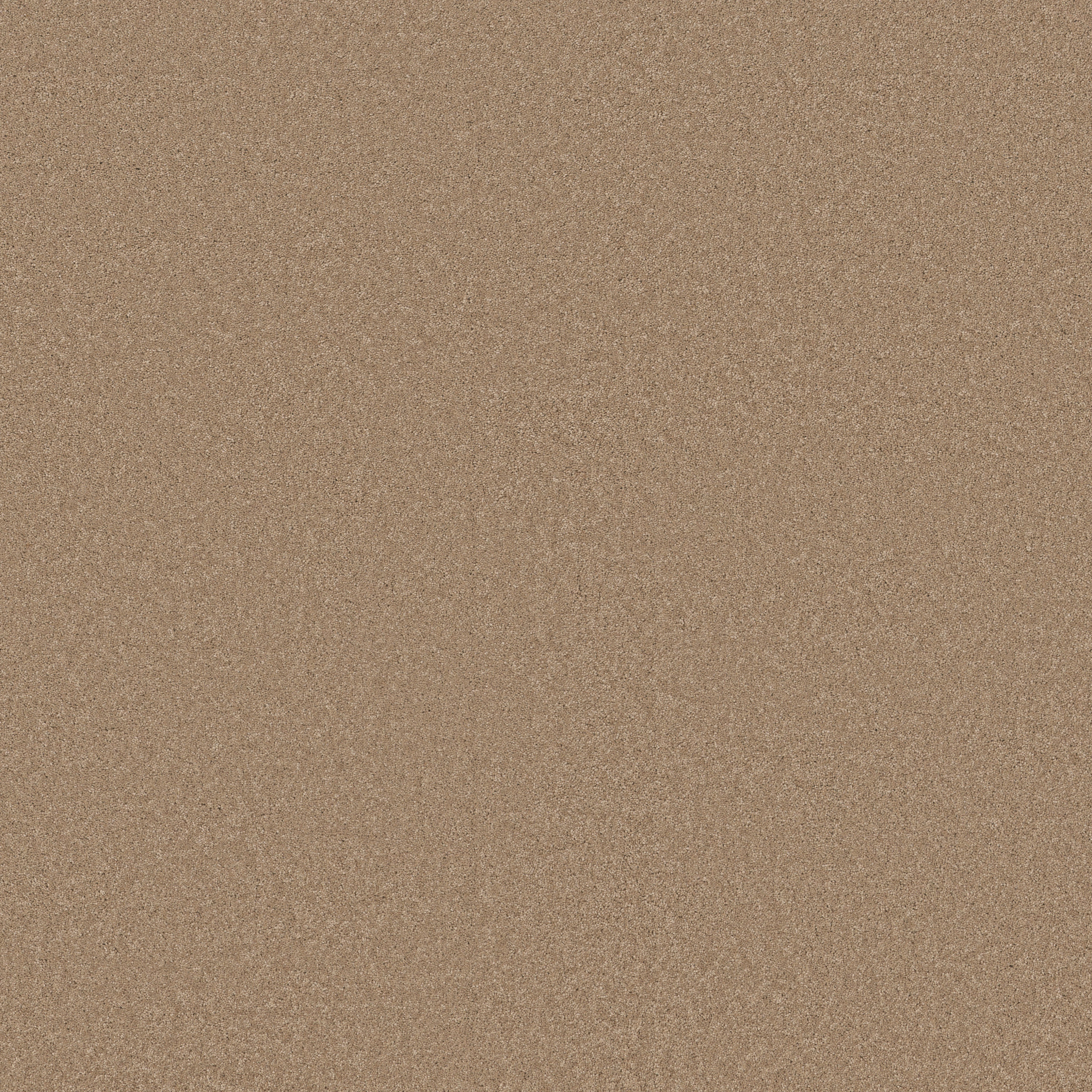 Cherished - Natural - ZB268_00174