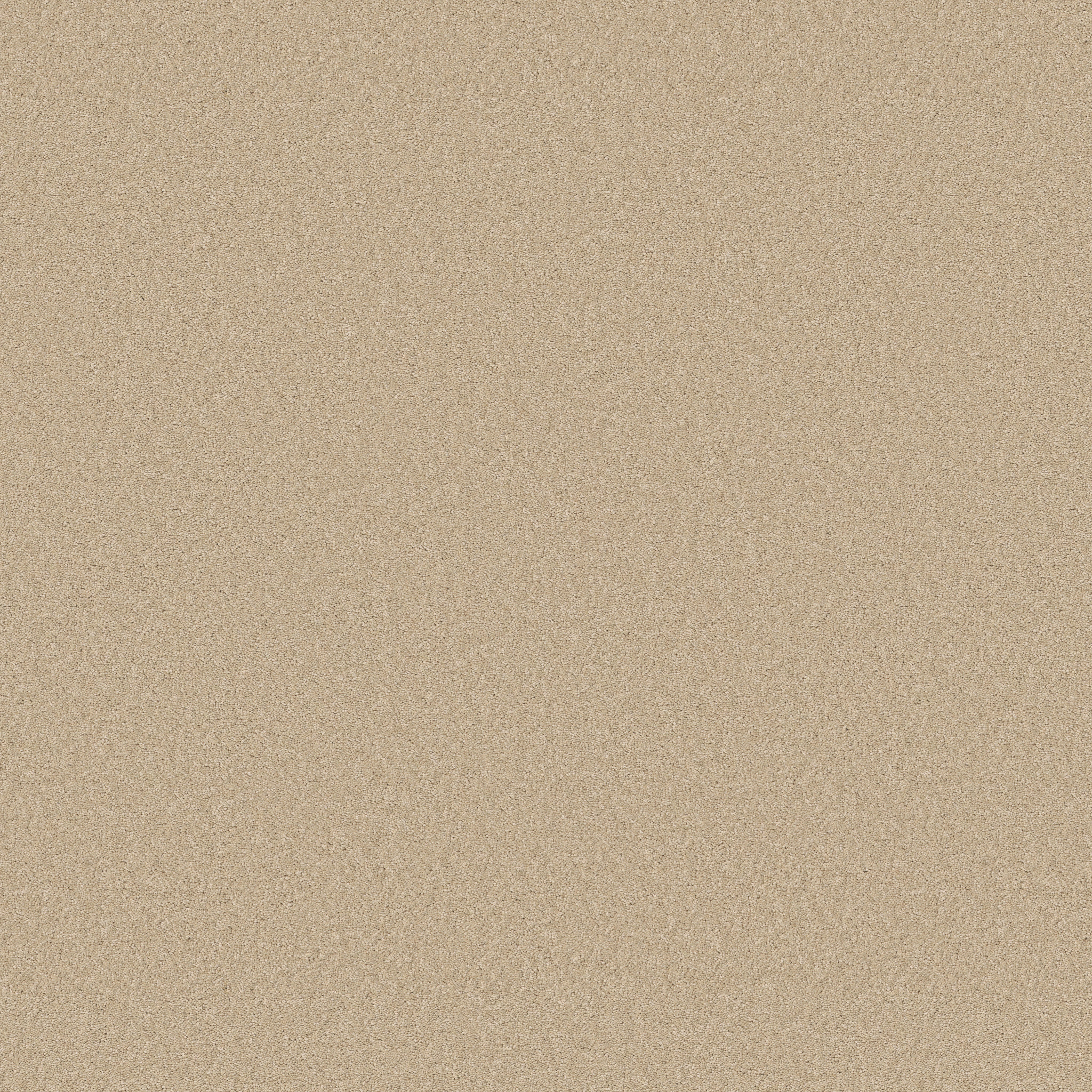 Cherished - Papyrus - ZB268_00222
