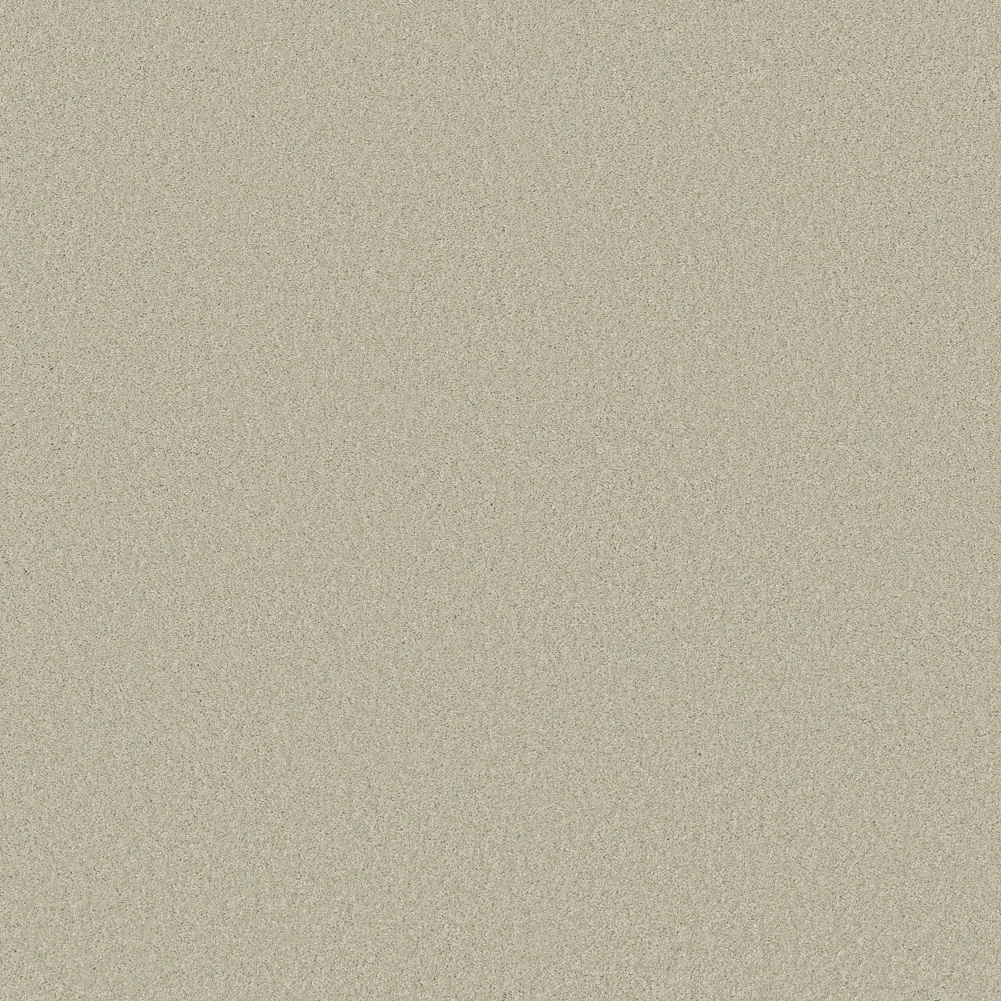 Cherished-Aloe Wash-ZB268_00322