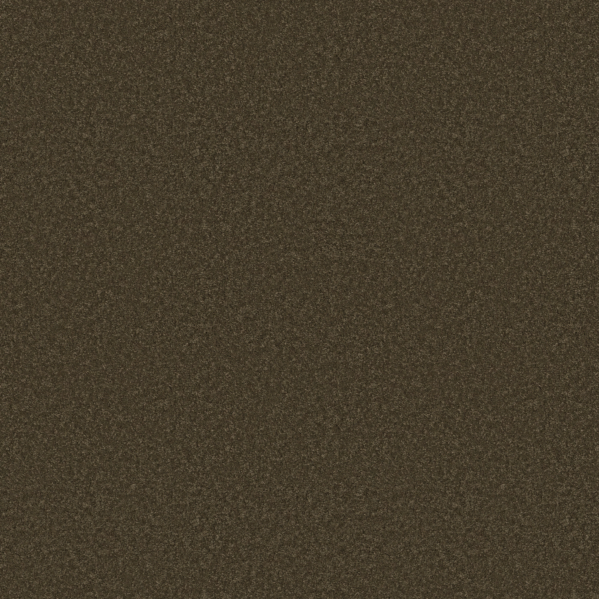 Cherished - Dark Olive - ZB268_00339