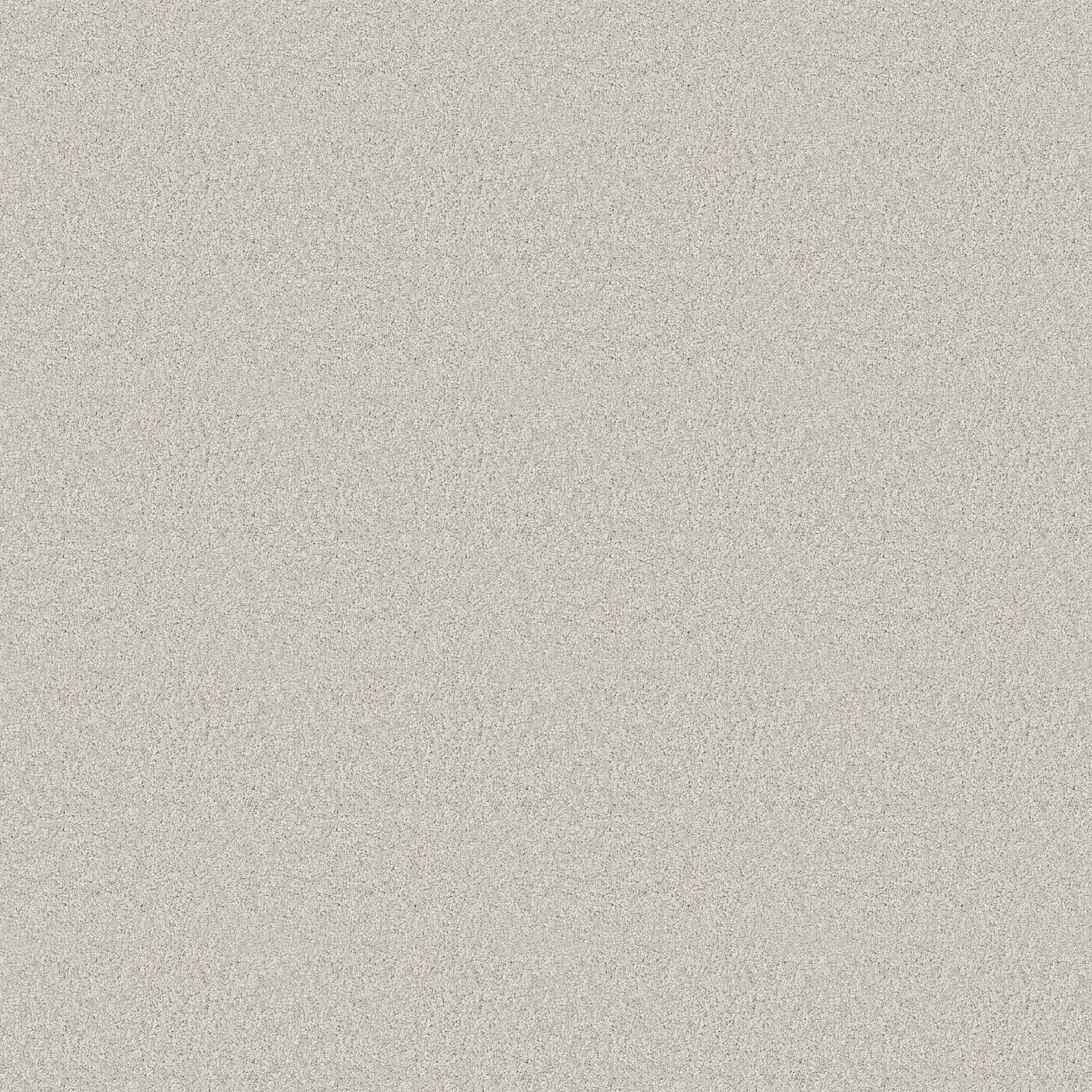 Cherished-Icy Morn-ZB268_00341