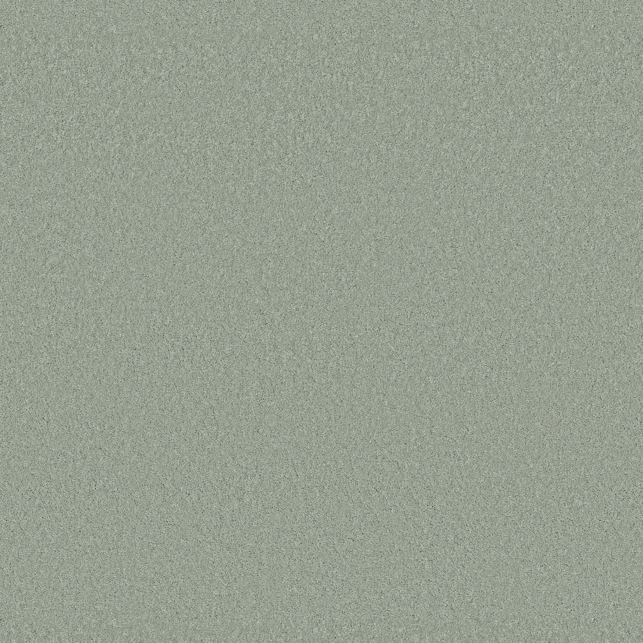 Cherished-Misty Jade-ZB268_00344