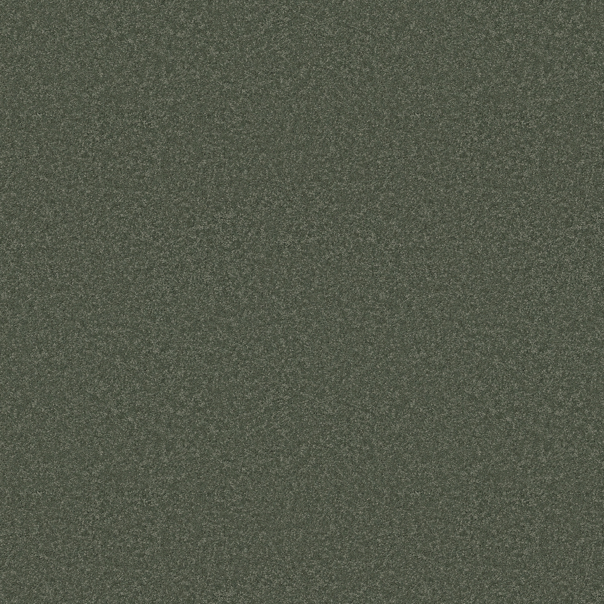 Cherished - Bereyl - ZB268_00348