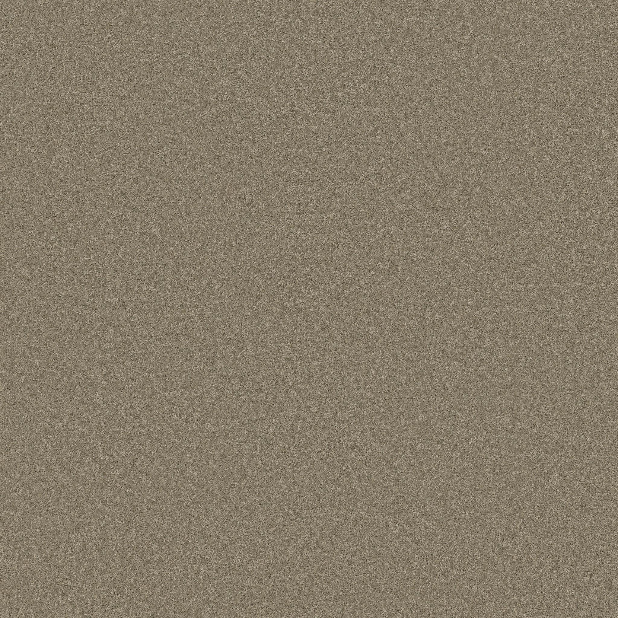 Cherished-Slate-ZB268_00355