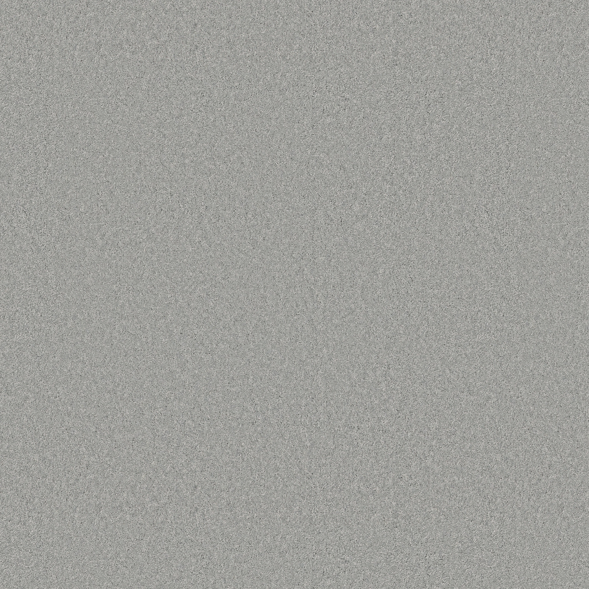 Cherished - Angel Falls - ZB268_00423