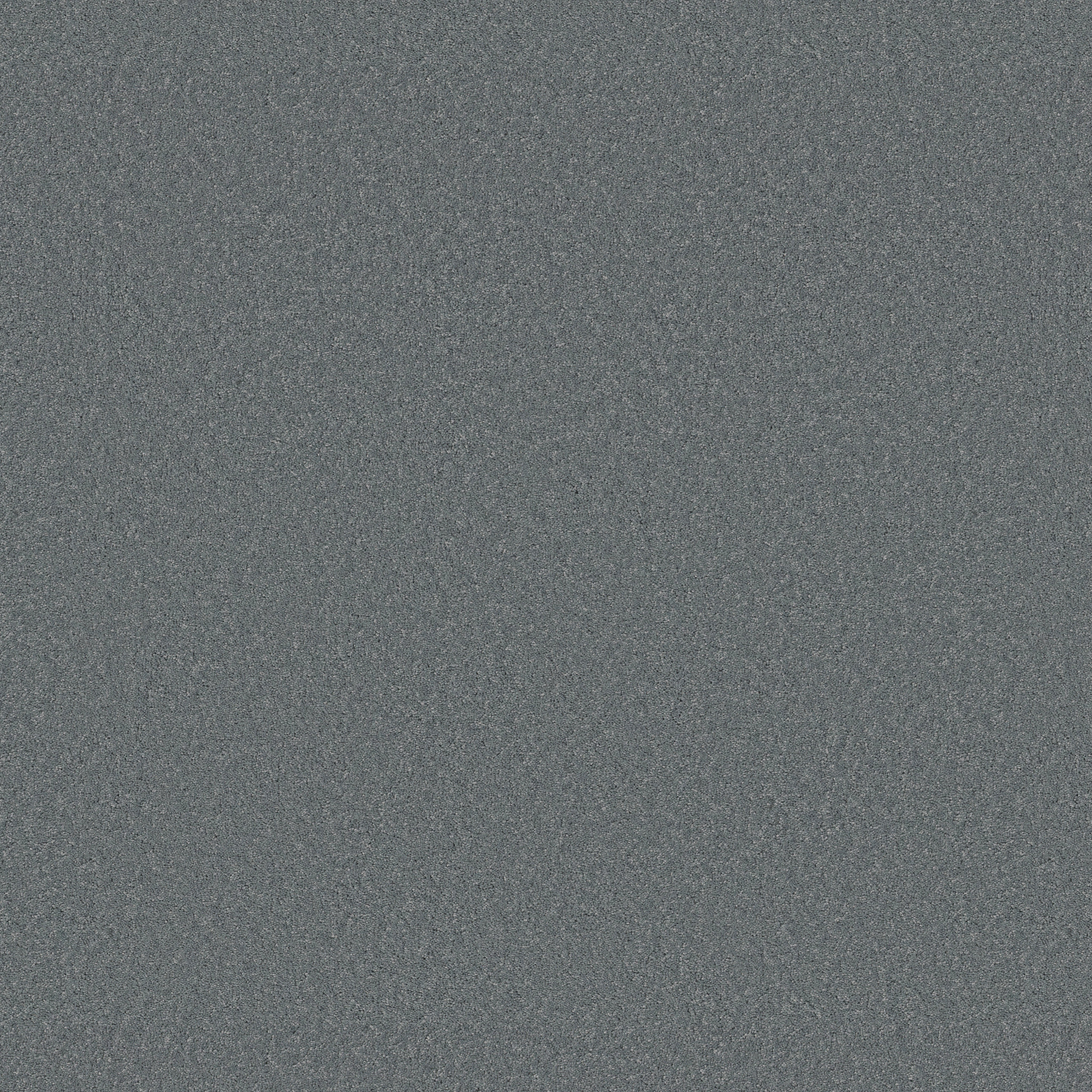 Cherished-Pearl Blue-ZB268_00446