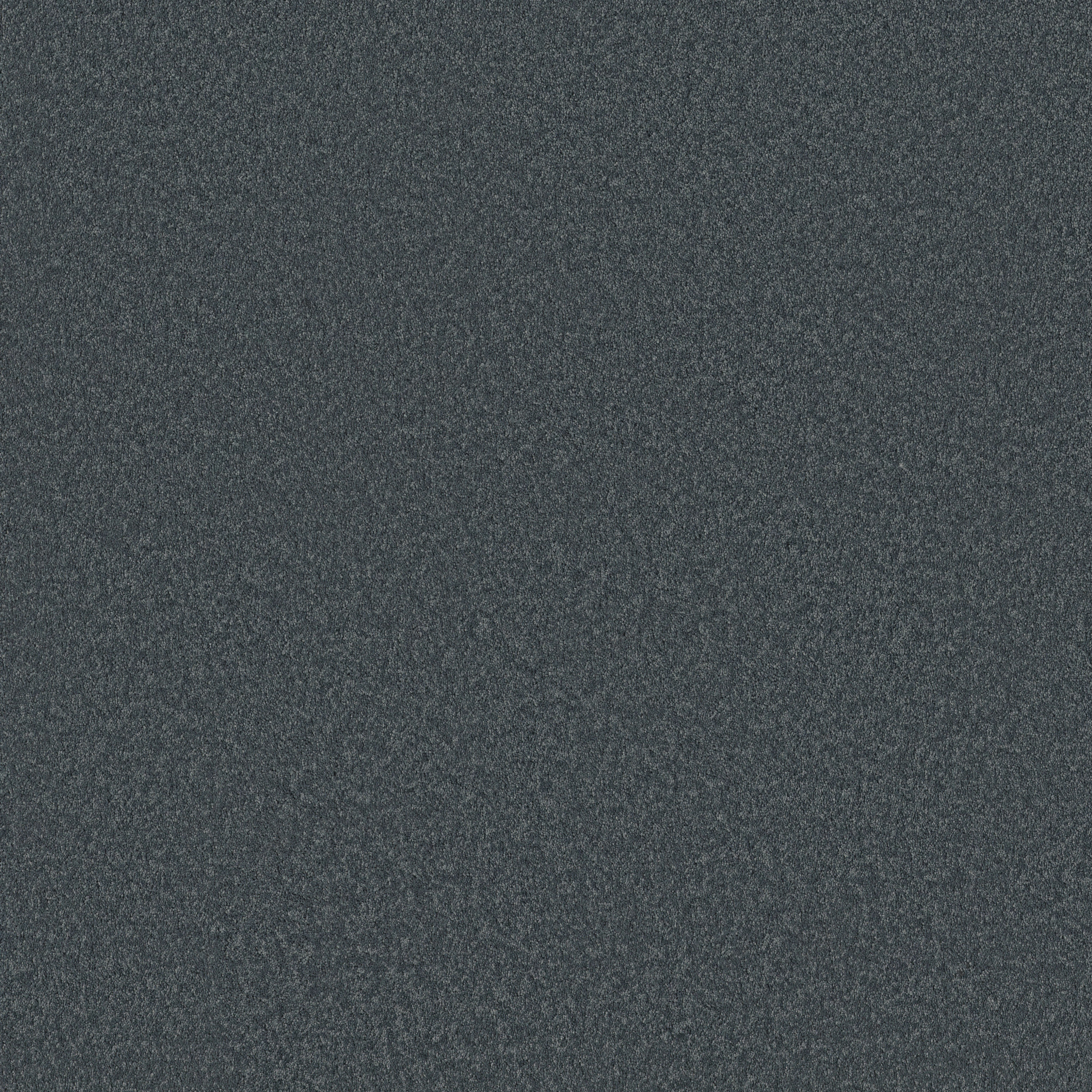 Cherished-Indigo-ZB268_00448