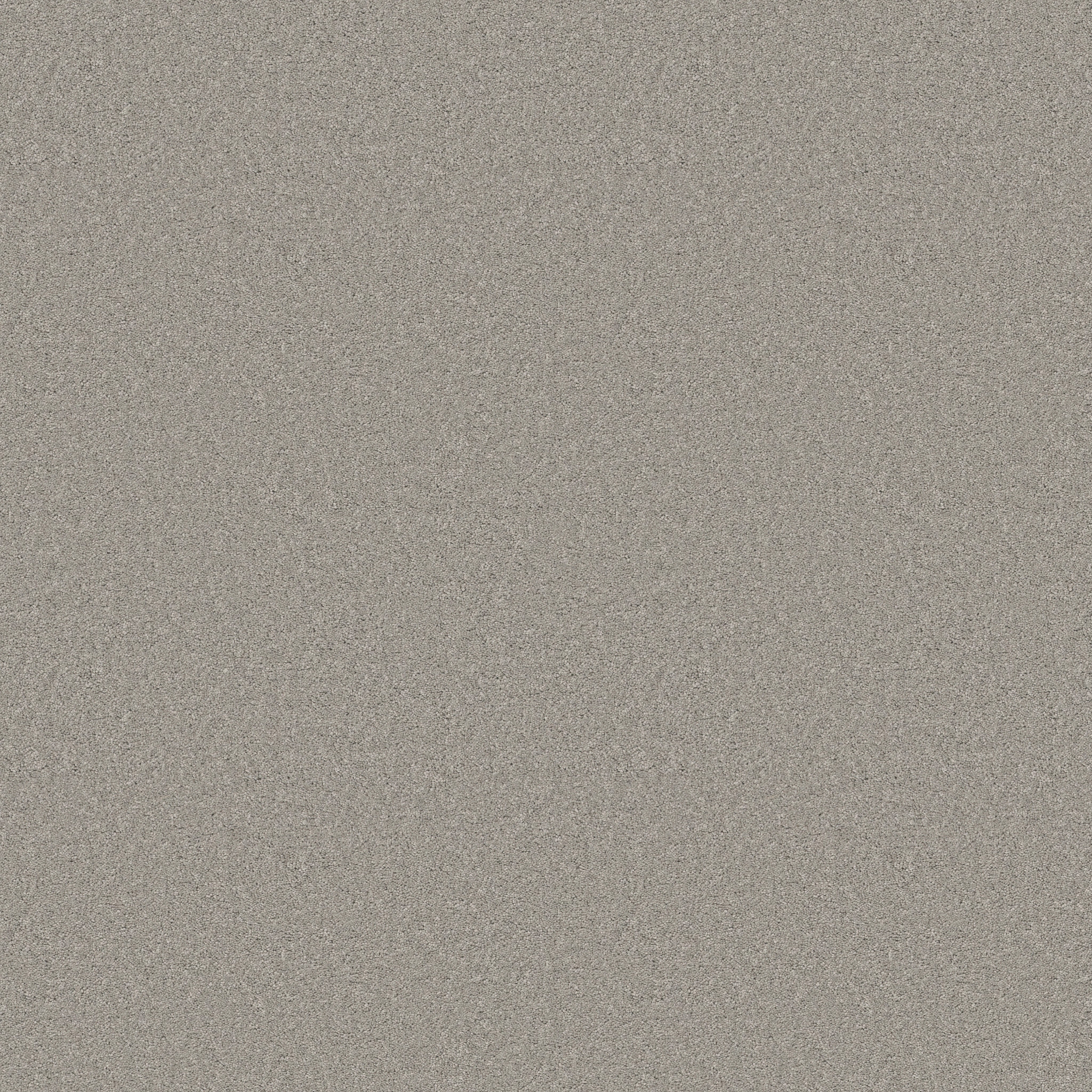 Cherished-Summer Rain-ZB268_00542