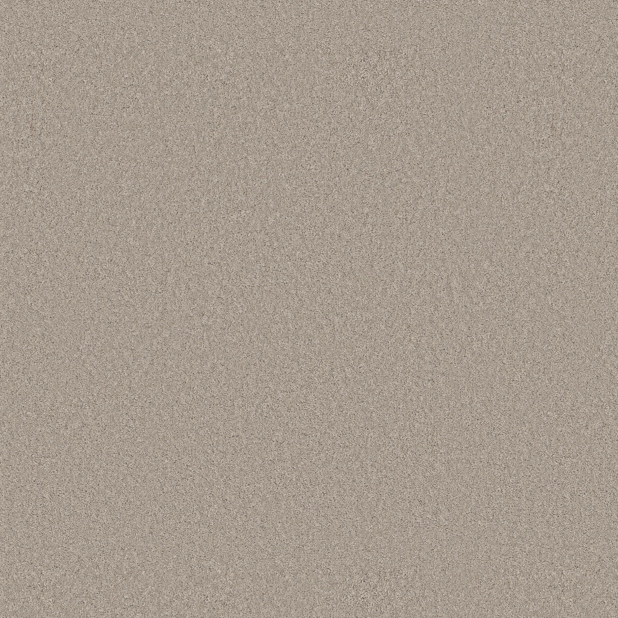 Cherished-String-ZB268_00552