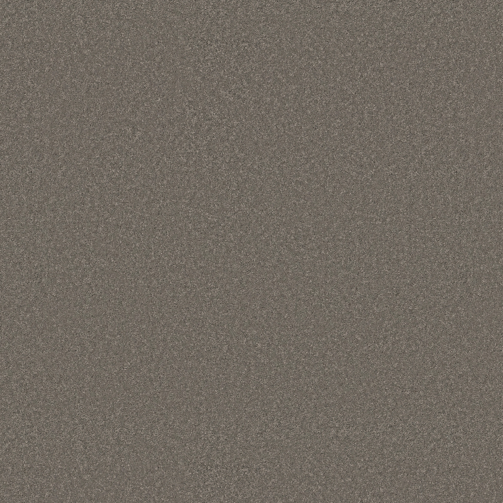 Cherished-Lunar Rock-ZB268_00555