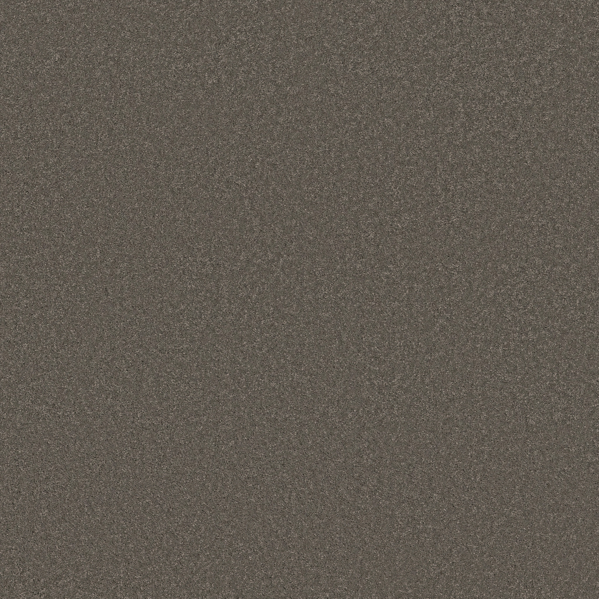 Cherished-Highrise-ZB268_00558