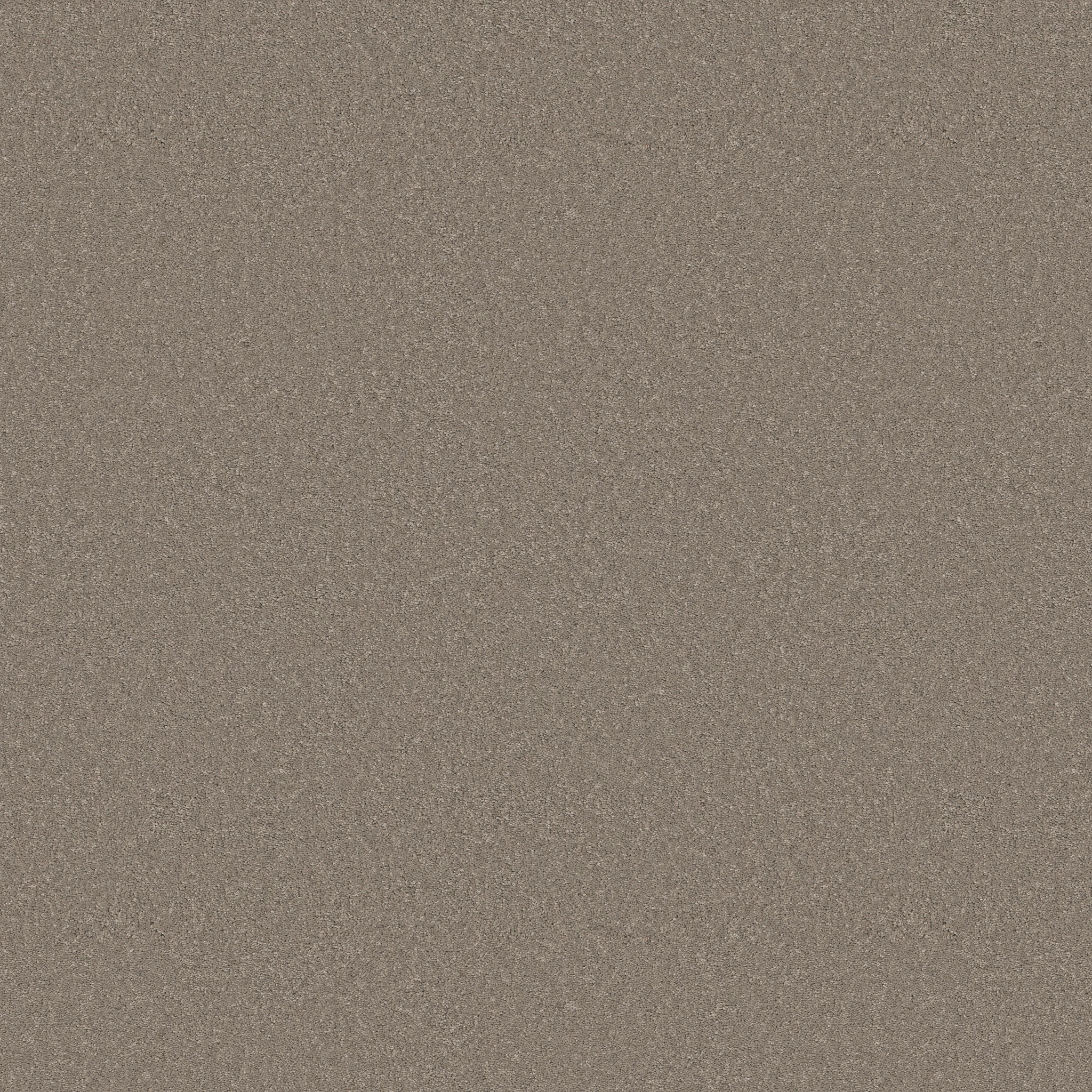 Cherished-Atmosphere-ZB268_00573