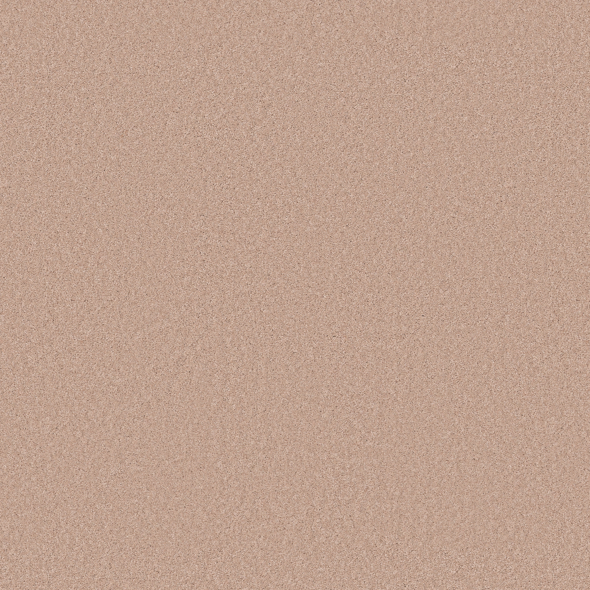 Cherished-Apricot Ice-ZB268_00623