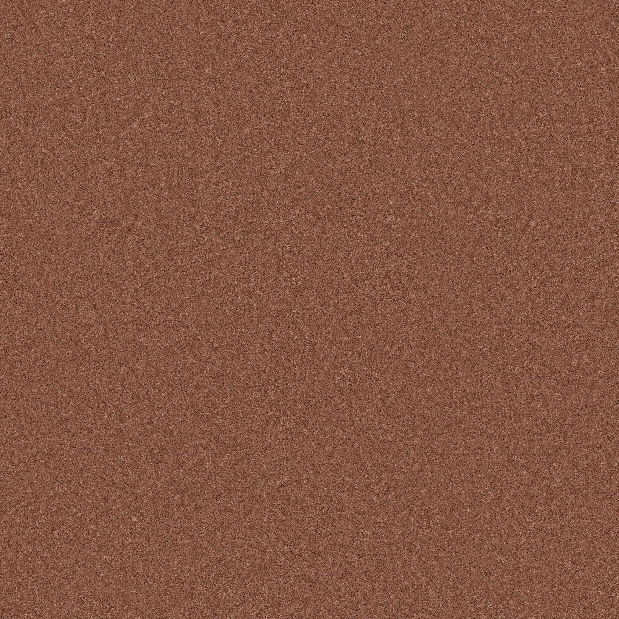 Cherished-Clay-ZB268_00667