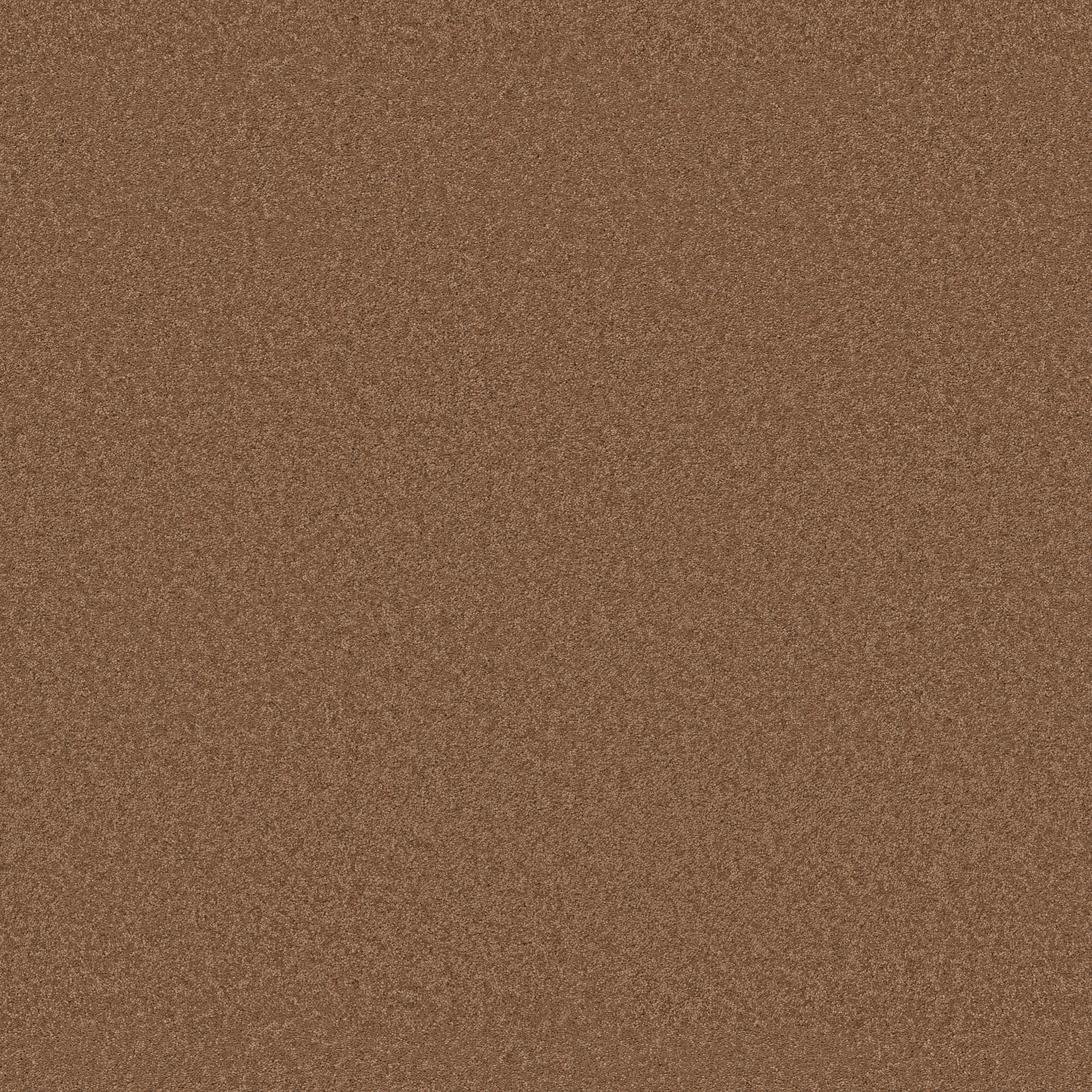 Cherished - Autumn Glaze - ZB268_00675