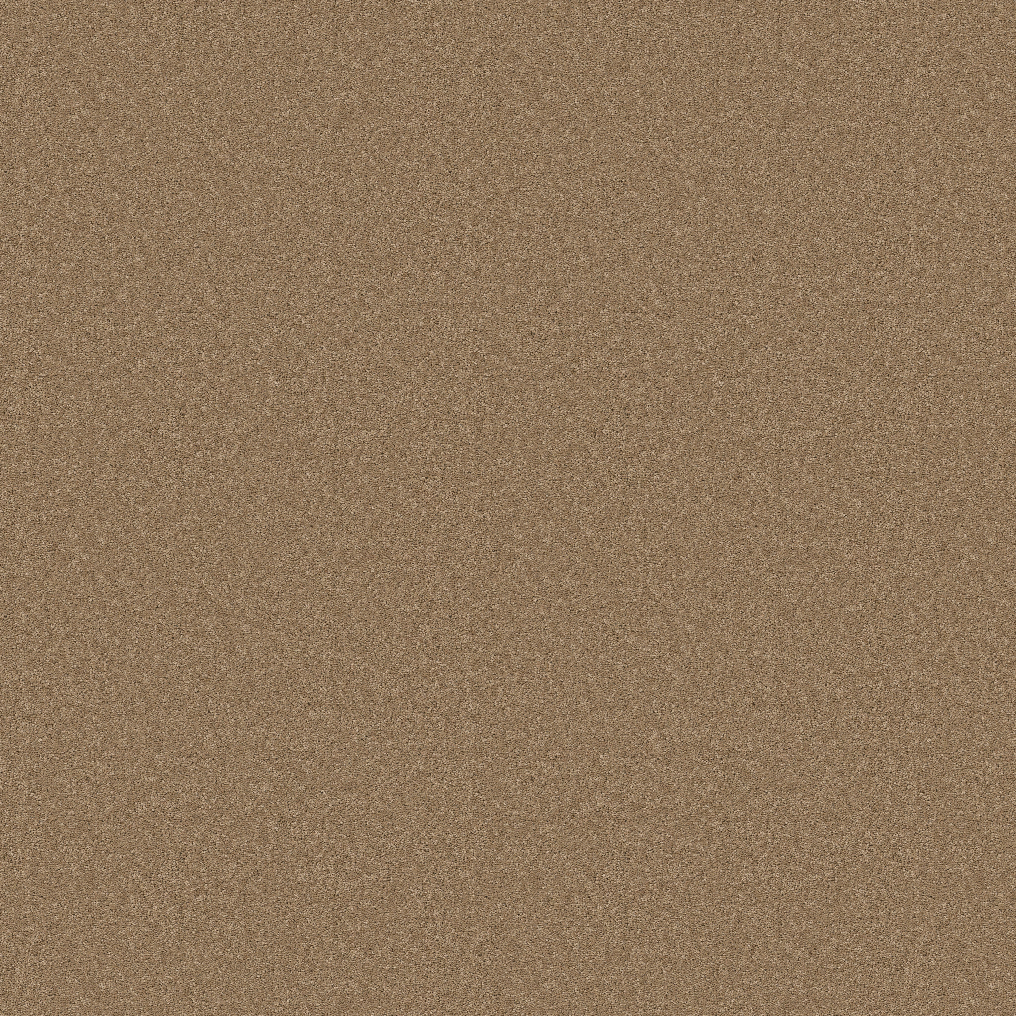 Cherished-Prairie-ZB268_00727