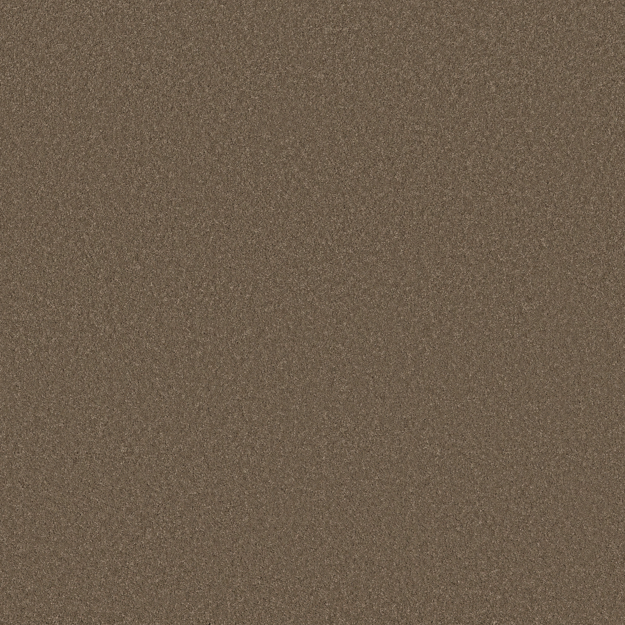 Cherished - Carafe - ZB268_00758