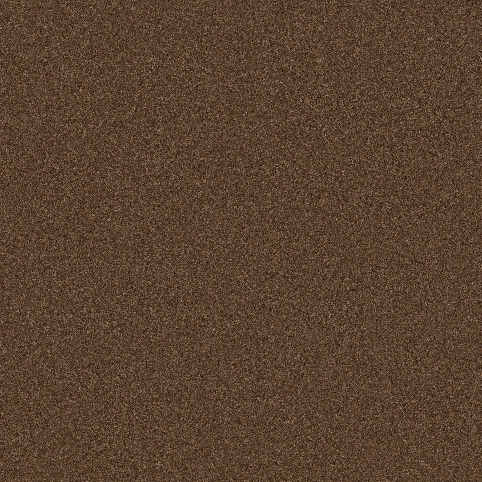 Cherished - Bronco - ZB268_00768