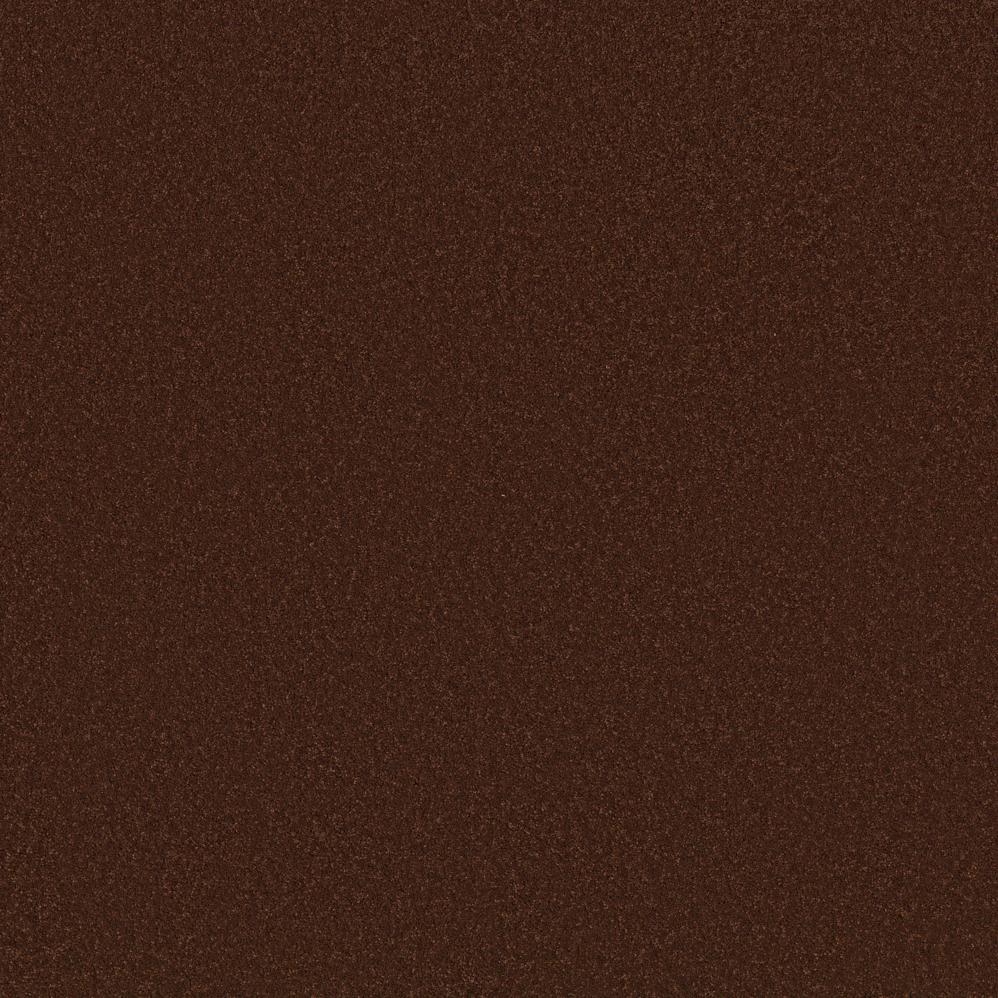 Cherished-Cinnabar-ZB268_00889