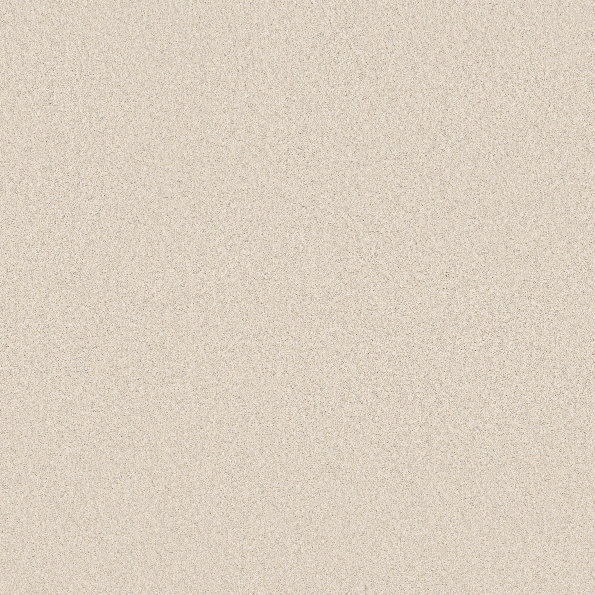 Blissful Beauty - Cloud - ZB269_00111