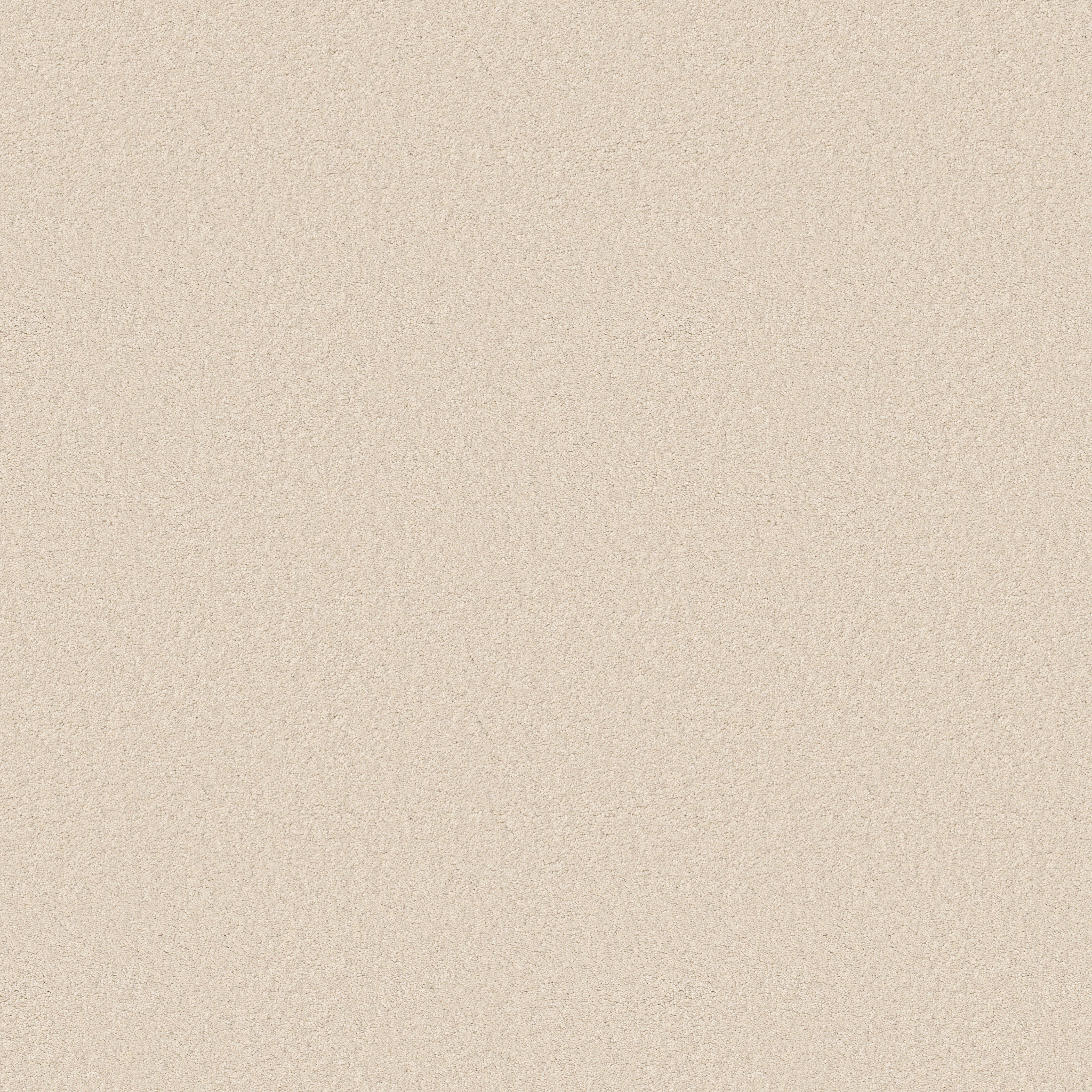 Blissful Beauty-Angora-ZB269_00112