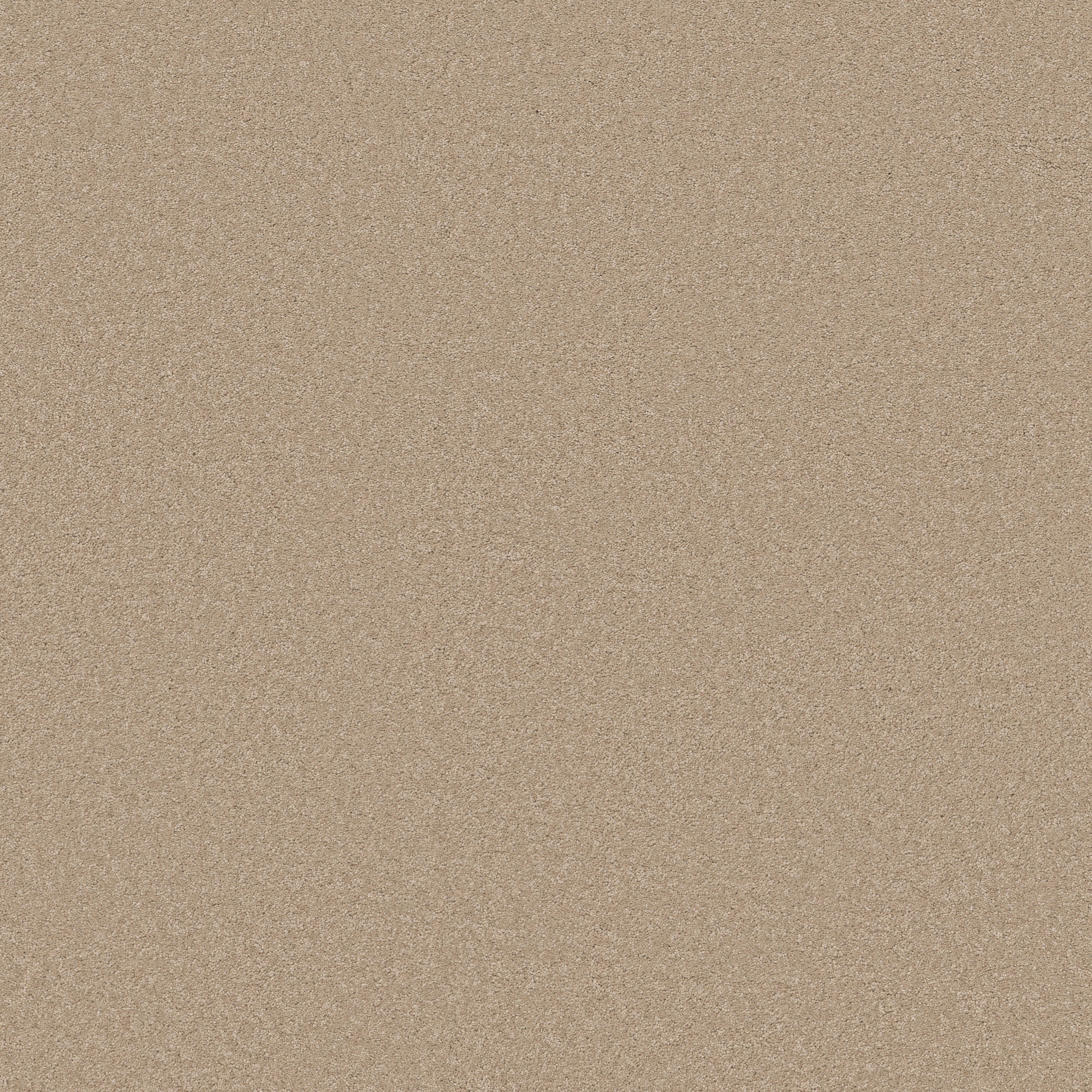 Blissful Beauty - Transparent - ZB269_00114