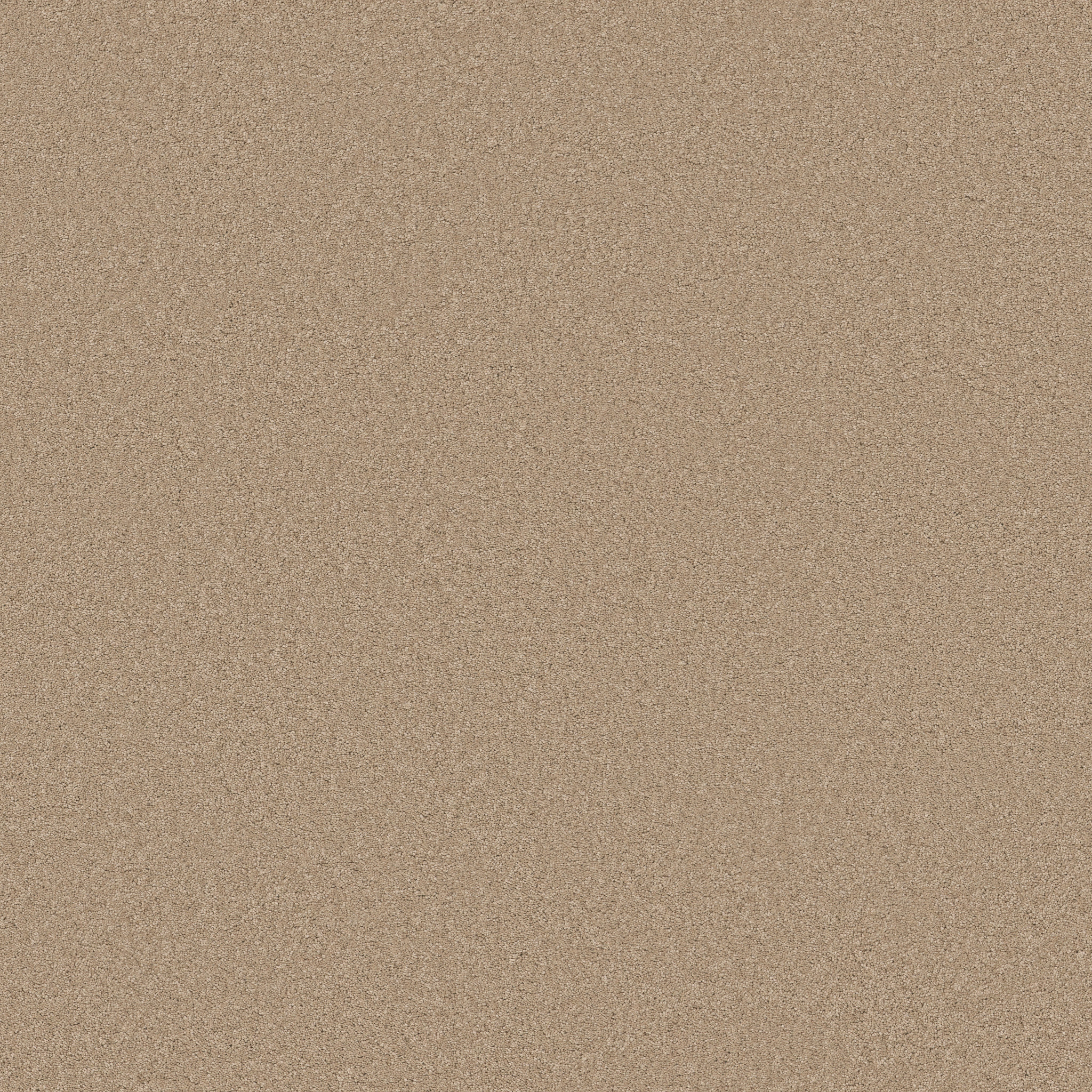 Blissful Beauty-Brulee-ZB269_00124