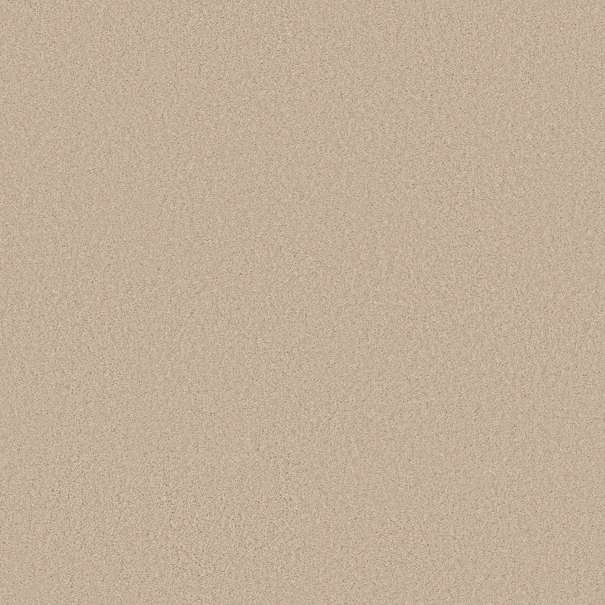 Blissful Beauty-Tapioca-ZB269_00162