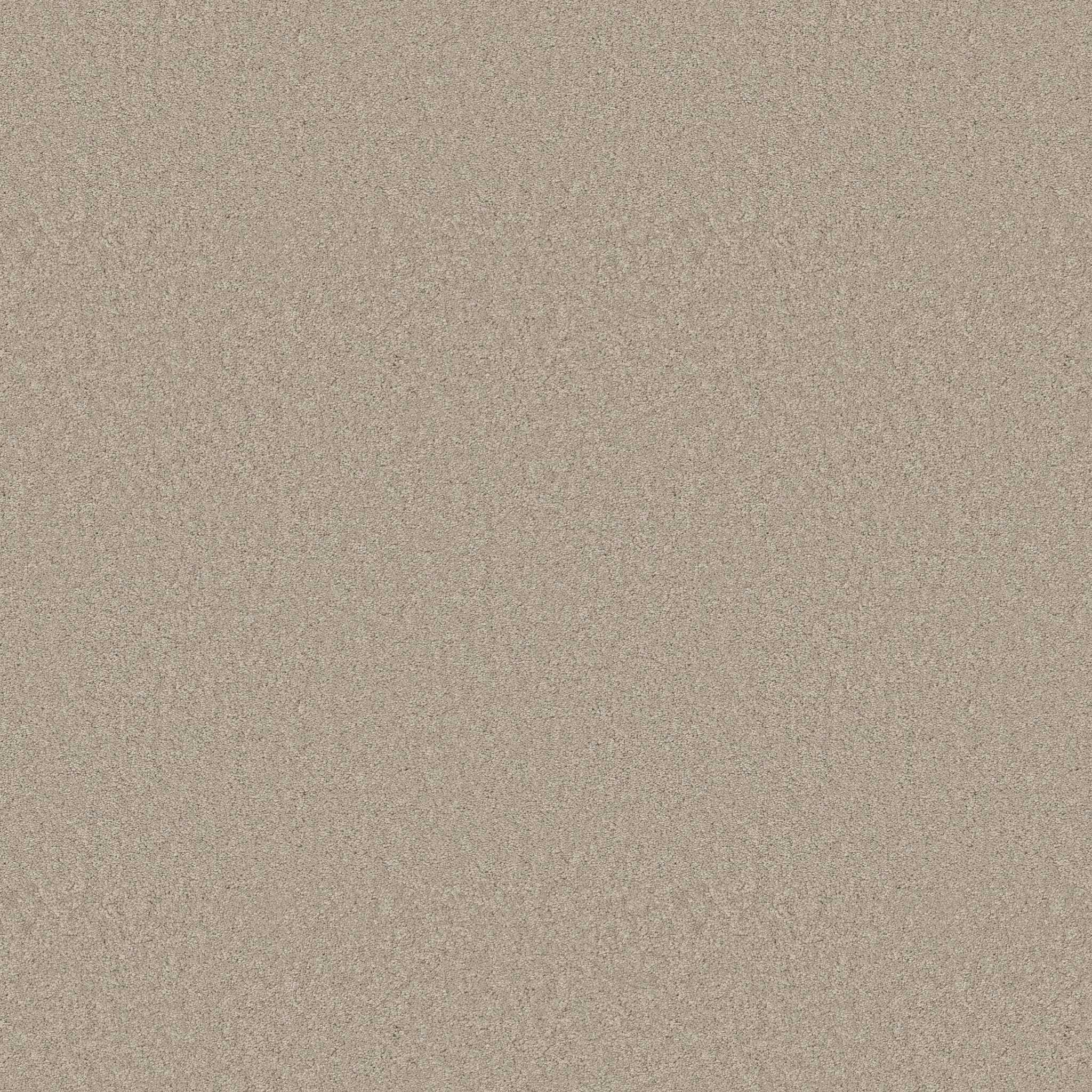 Blissful Beauty-Sandshell-ZB269_00172